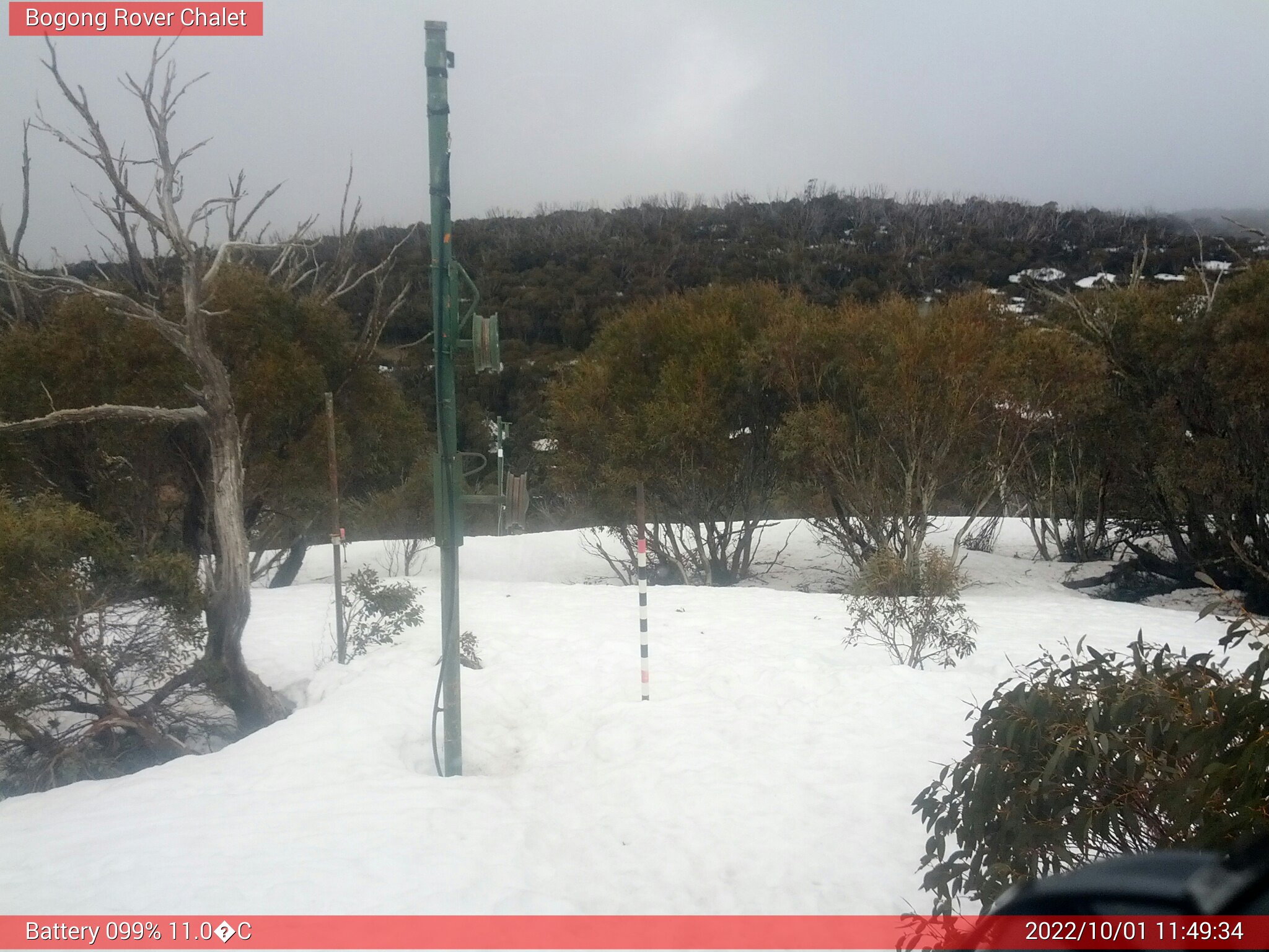 Bogong Web Cam 11:49am Saturday 1st of October 2022