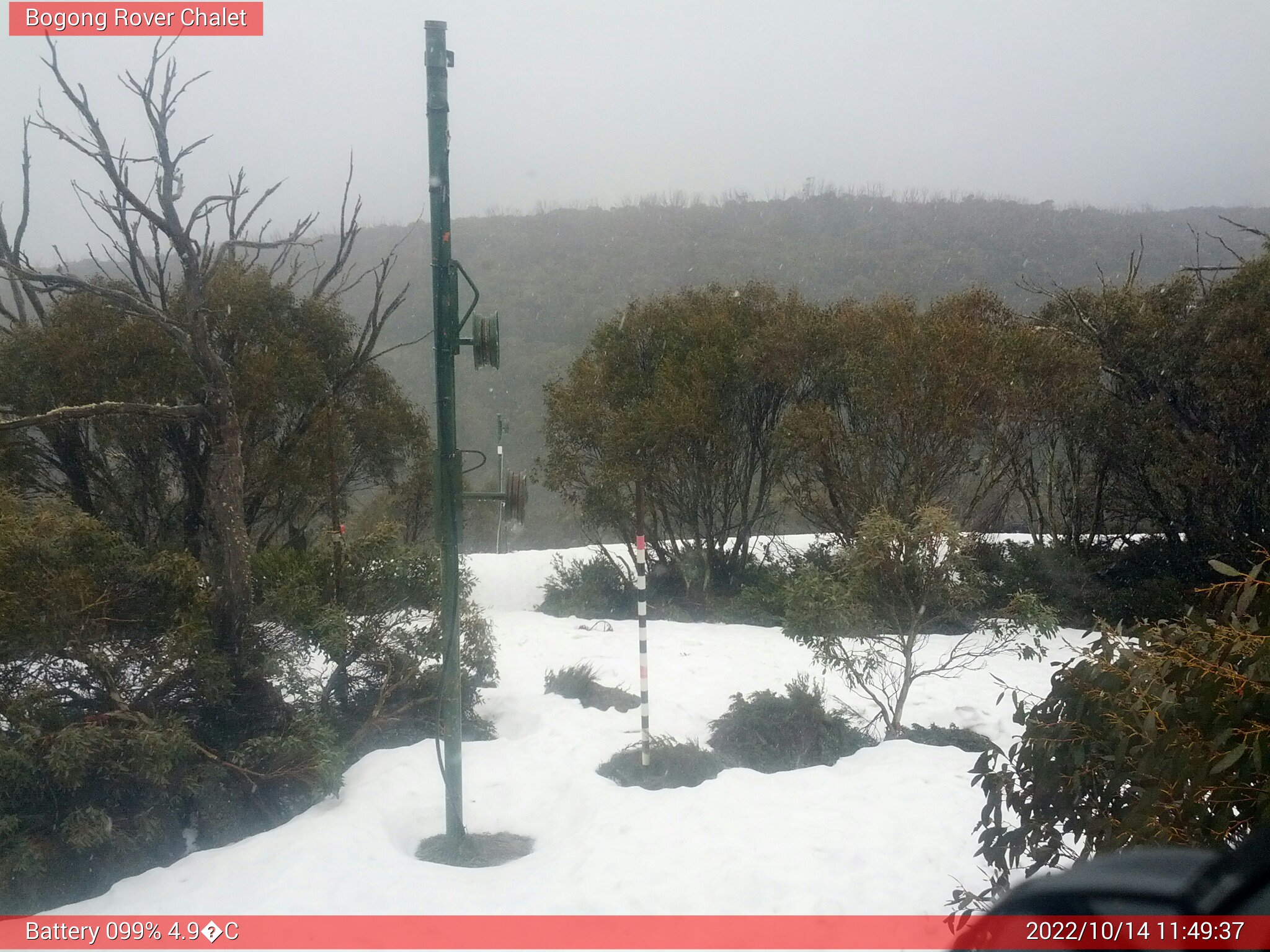 Bogong Web Cam 11:49am Friday 14th of October 2022