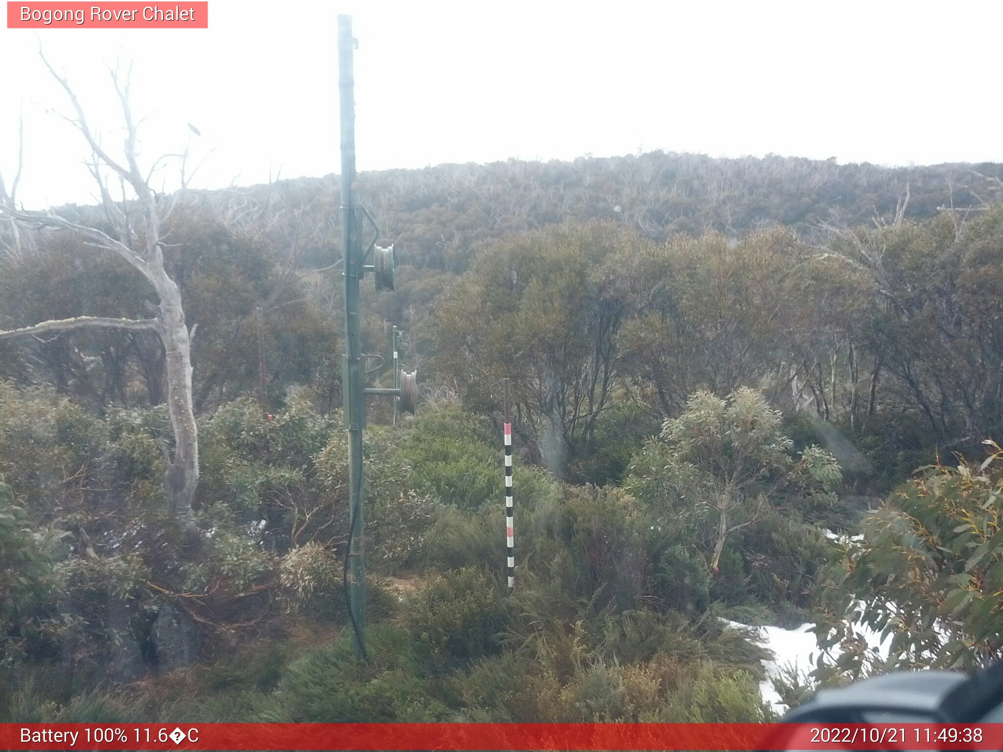 Bogong Web Cam 11:49am Friday 21st of October 2022