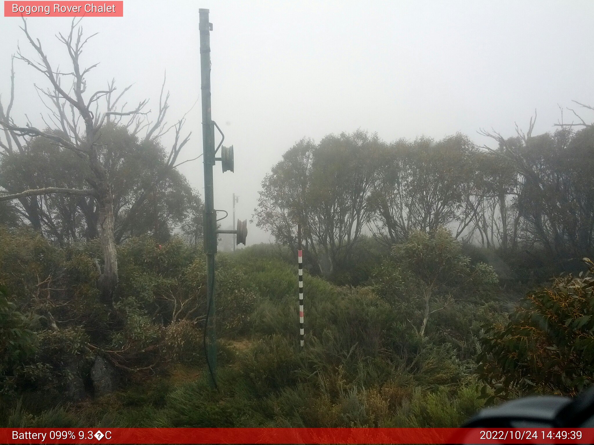 Bogong Web Cam 2:49pm Monday 24th of October 2022