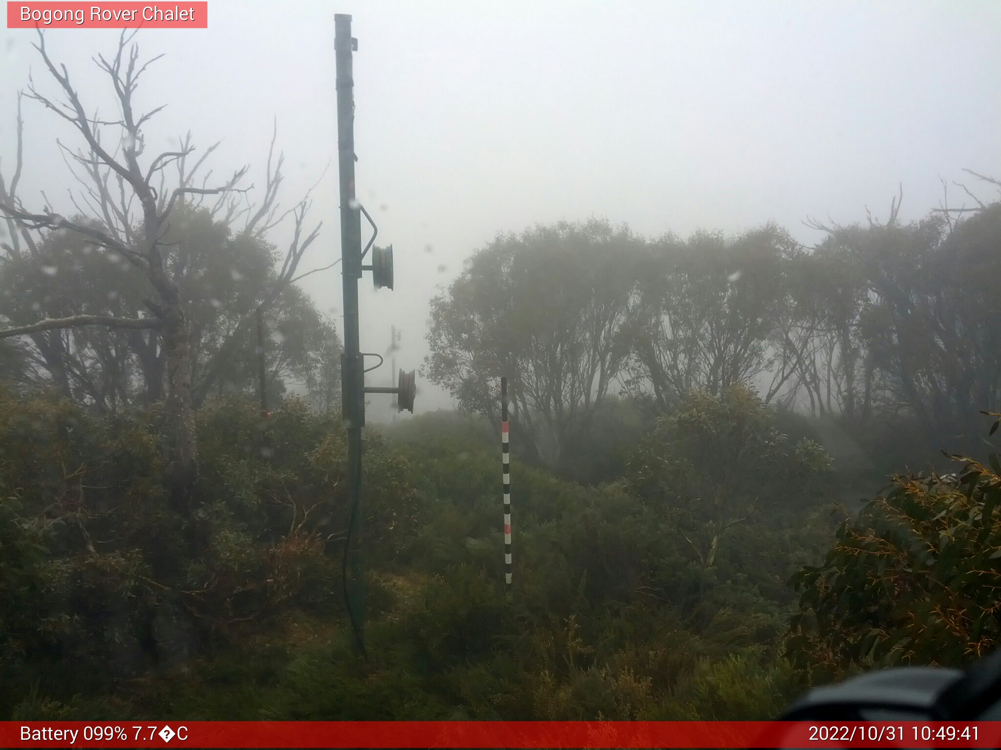 Bogong Web Cam 10:49am Monday 31st of October 2022