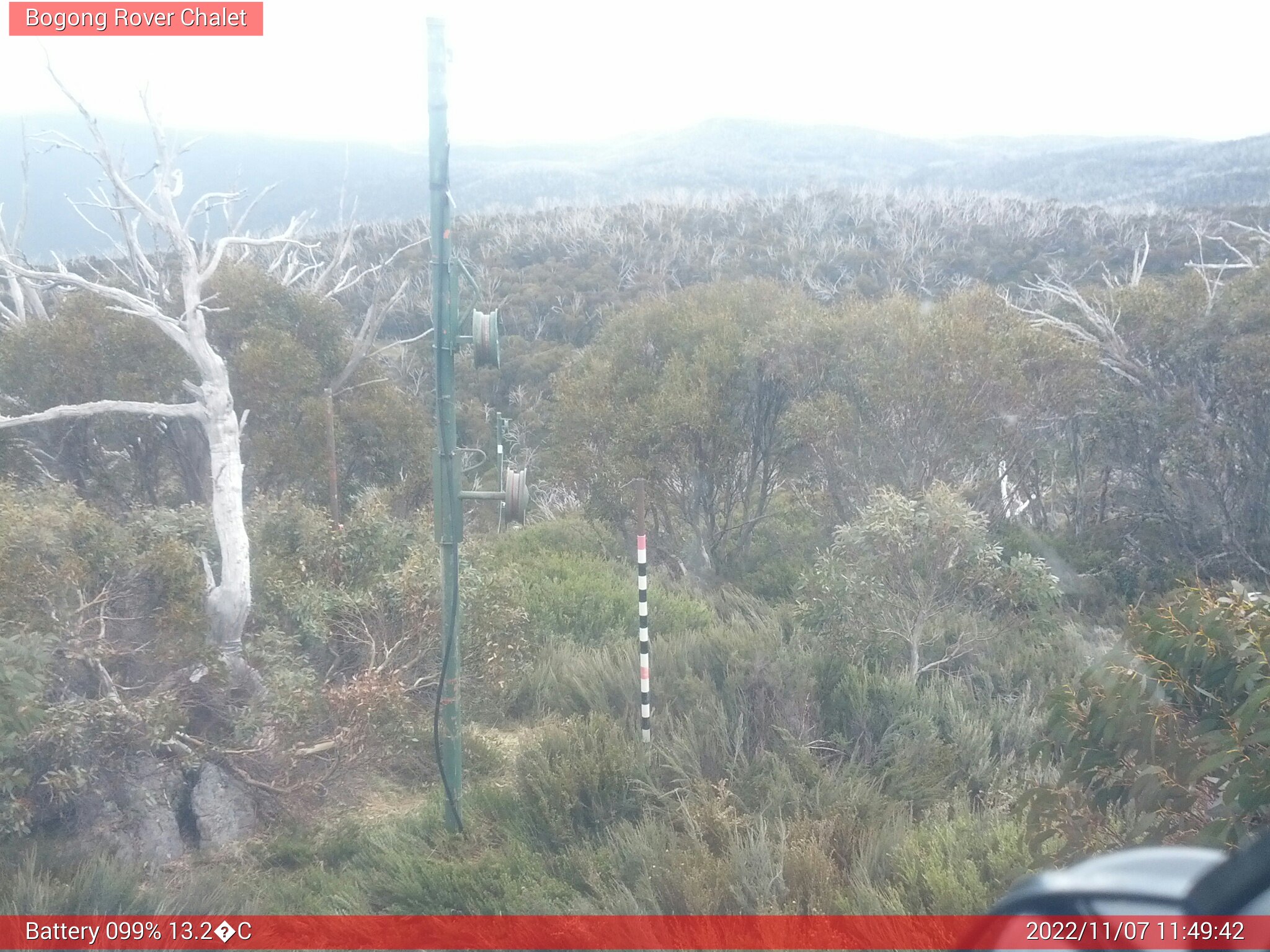 Bogong Web Cam 11:49am Monday 7th of November 2022