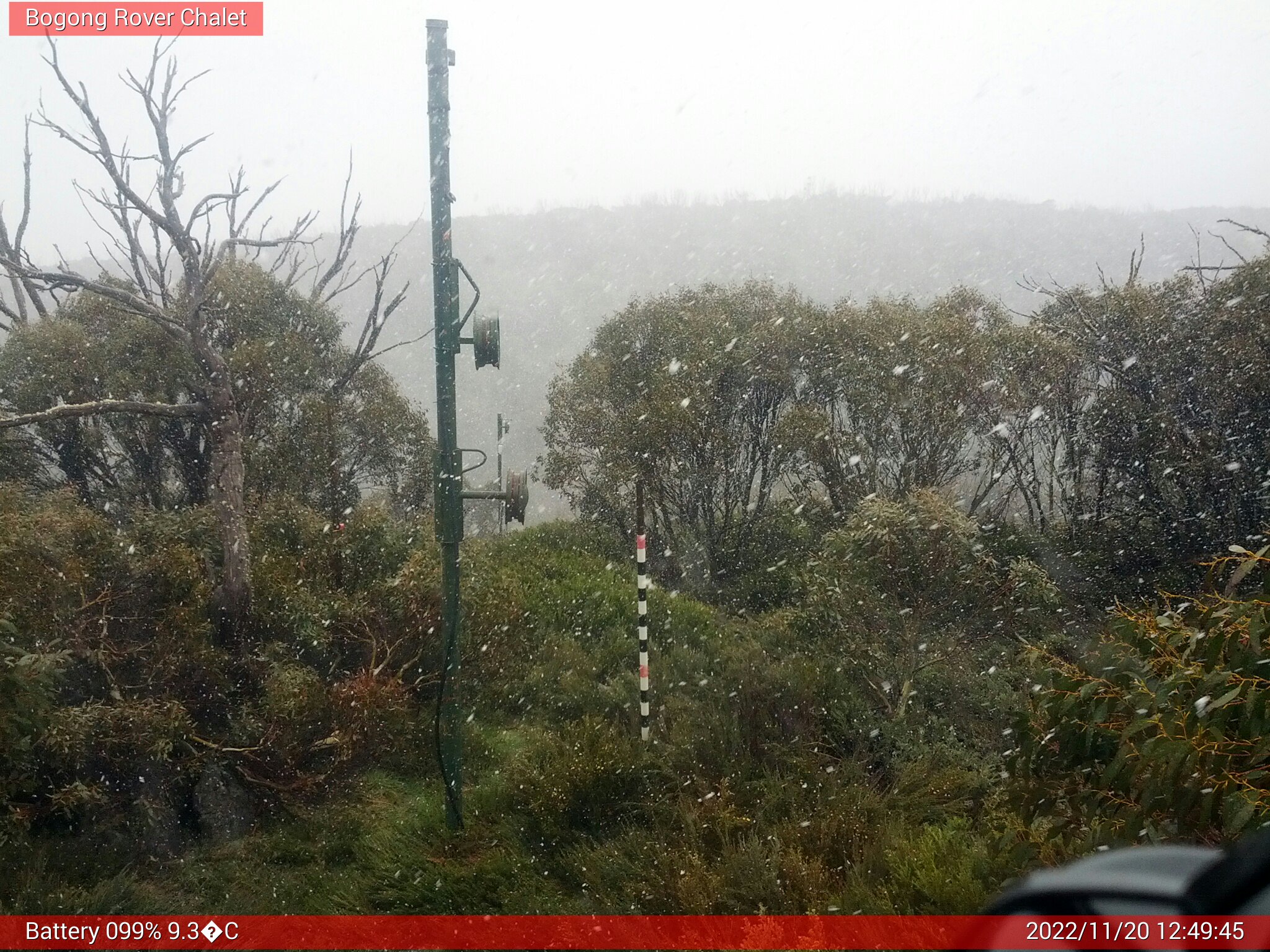 Bogong Web Cam 12:49pm Sunday 20th of November 2022