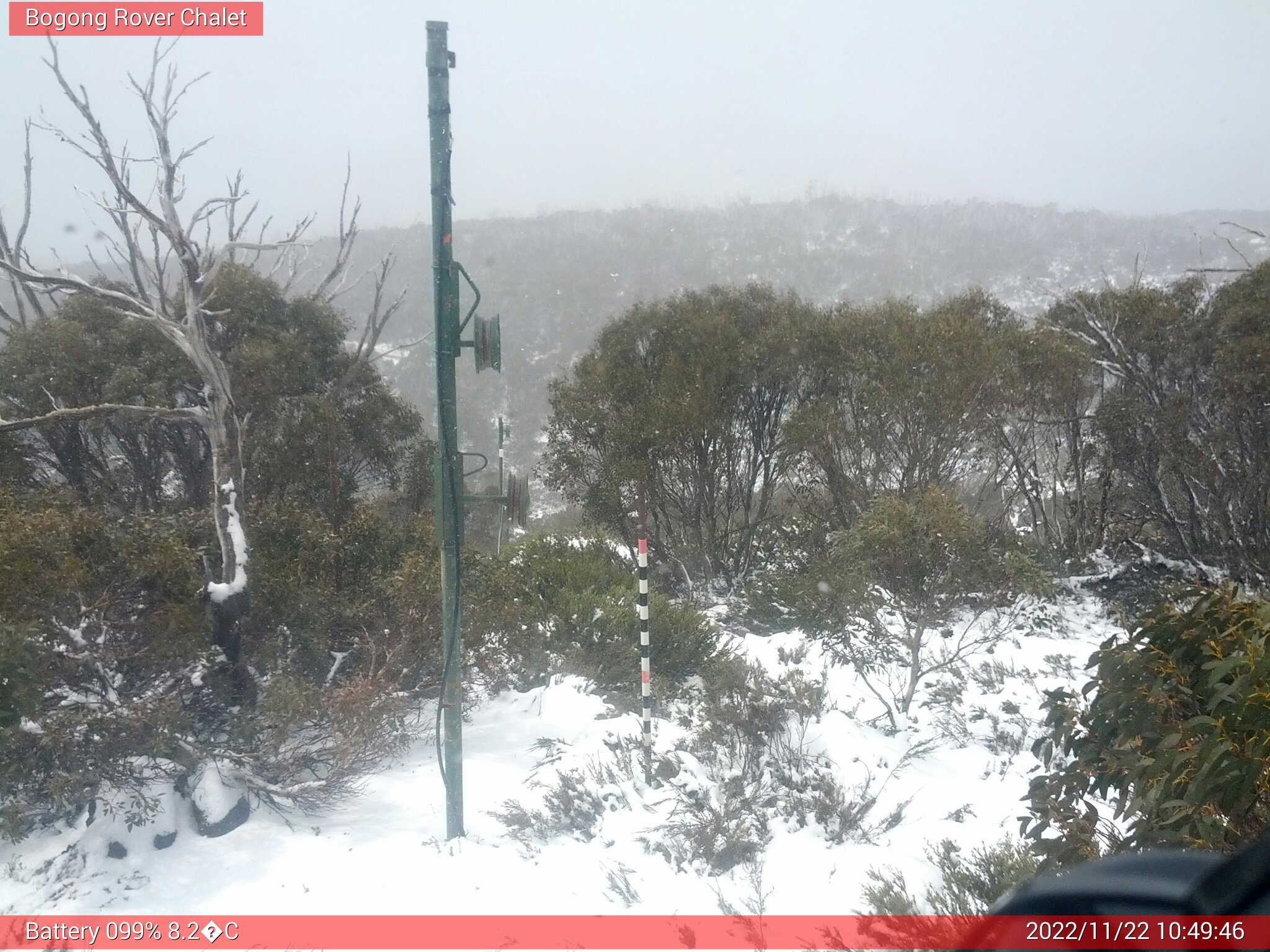 Bogong Web Cam 10:49am Tuesday 22nd of November 2022