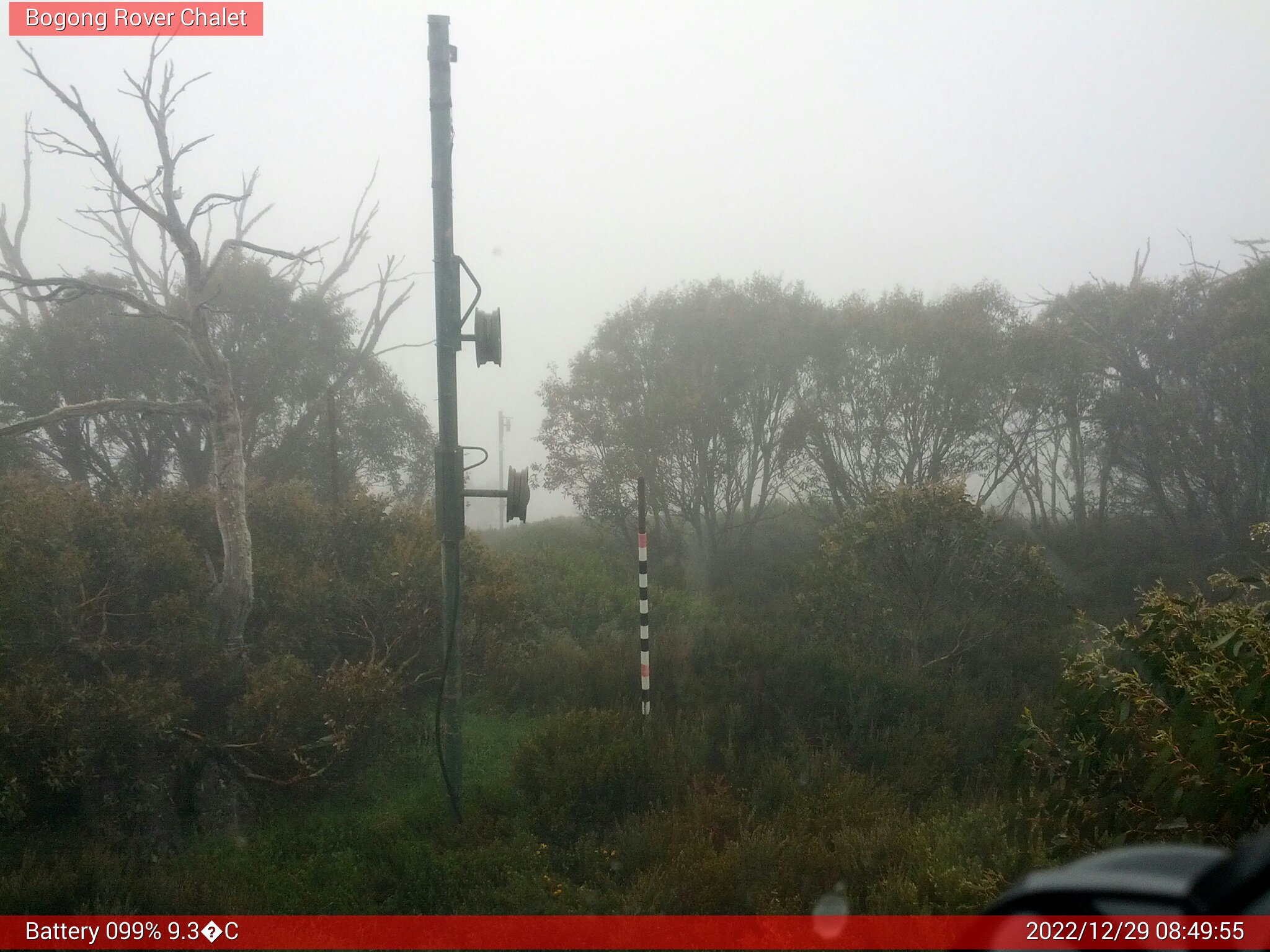 Bogong Web Cam 8:49am Thursday 29th of December 2022