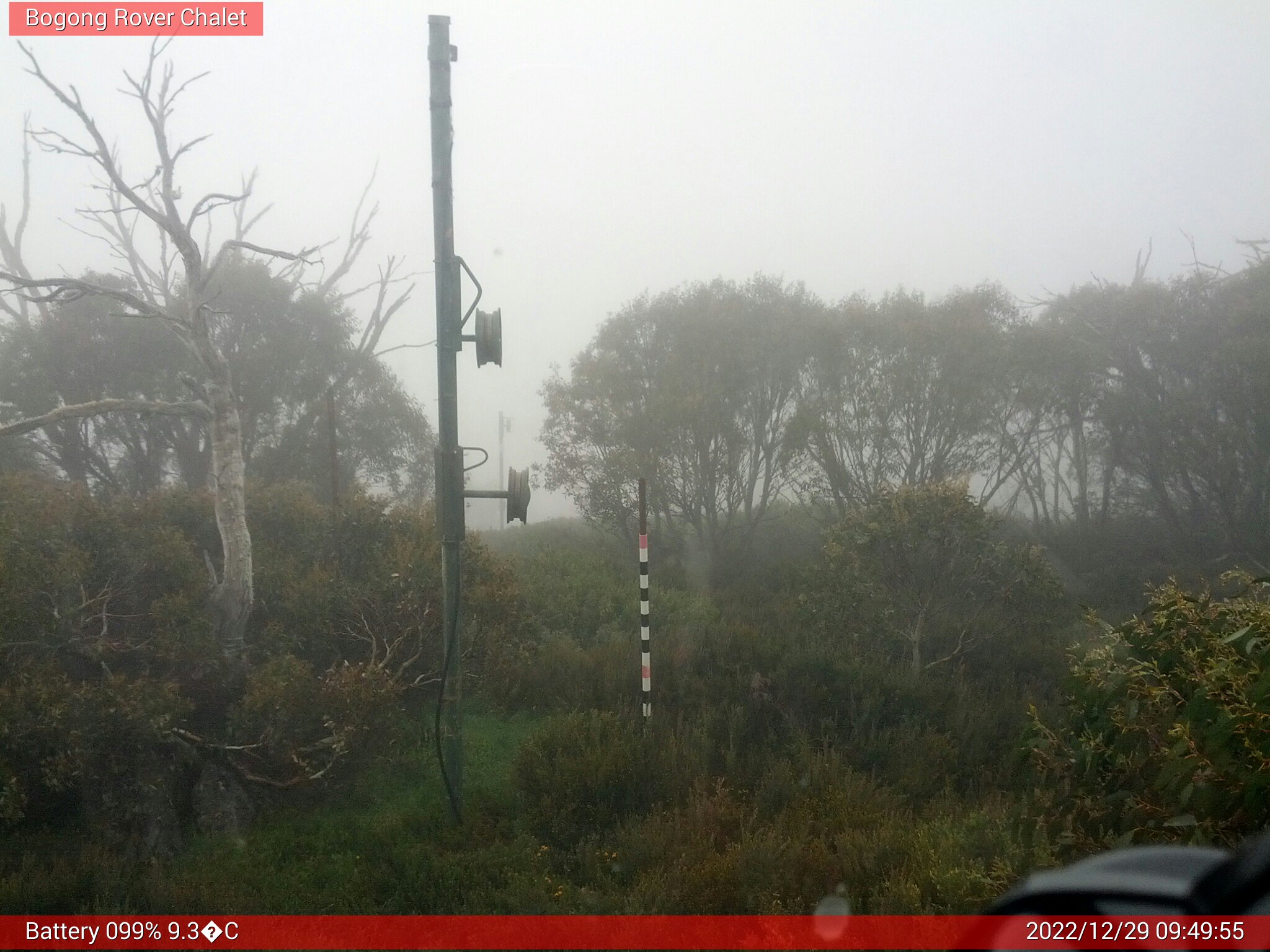 Bogong Web Cam 9:49am Thursday 29th of December 2022