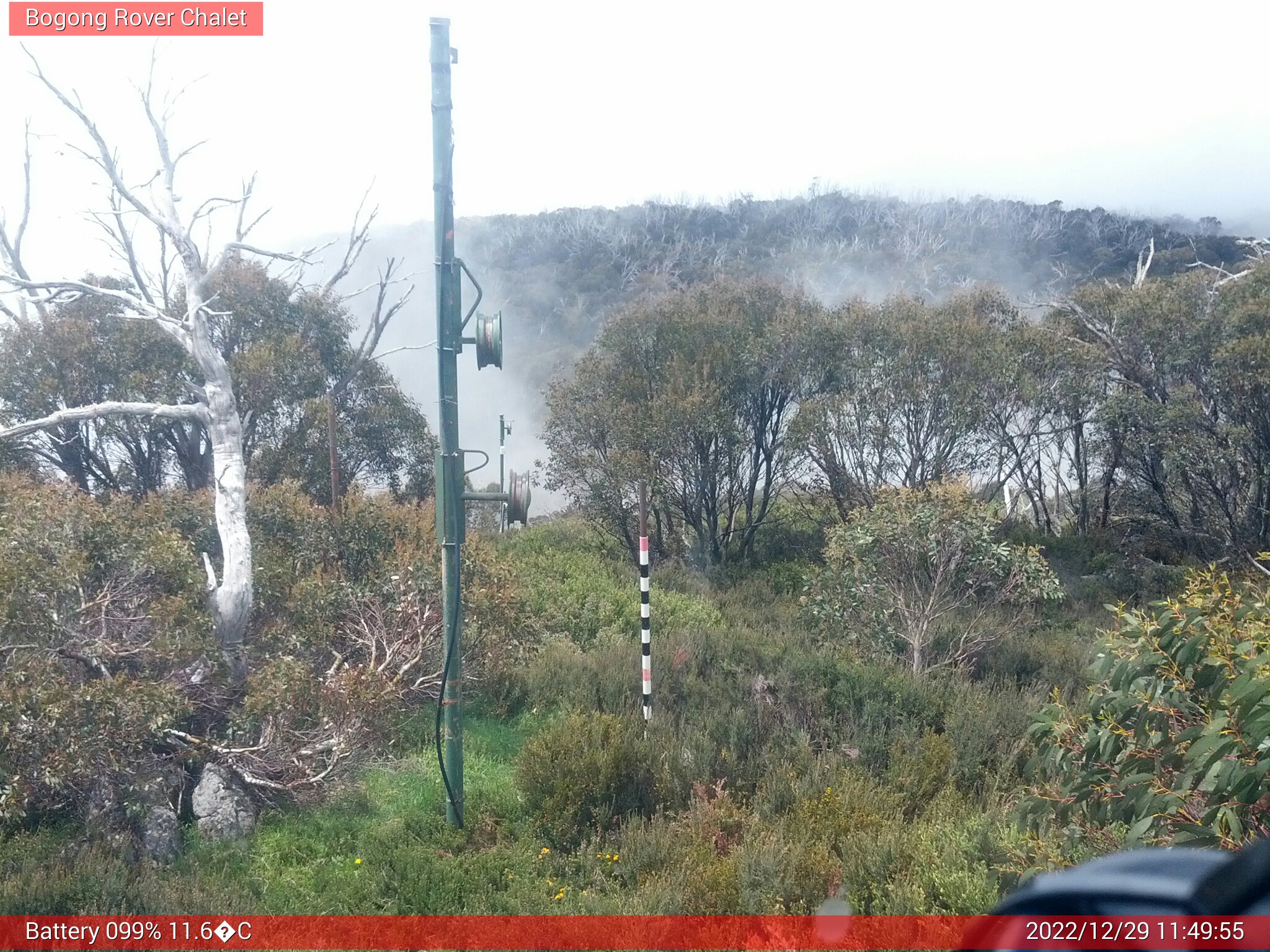 Bogong Web Cam 11:49am Thursday 29th of December 2022