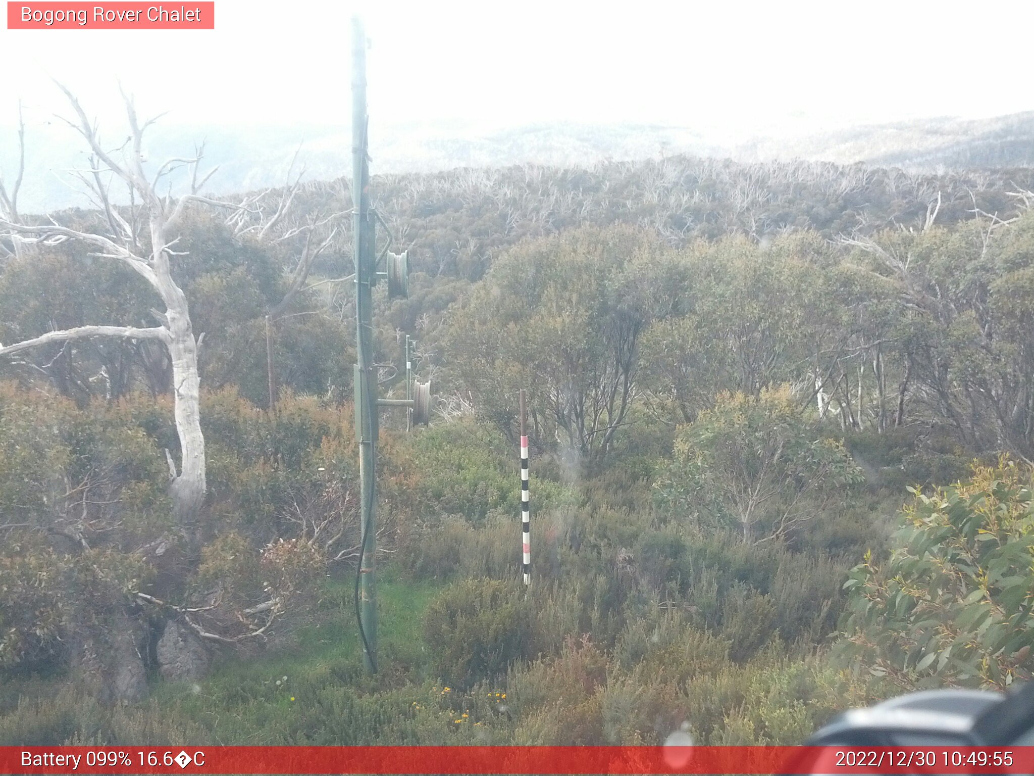 Bogong Web Cam 10:49am Friday 30th of December 2022