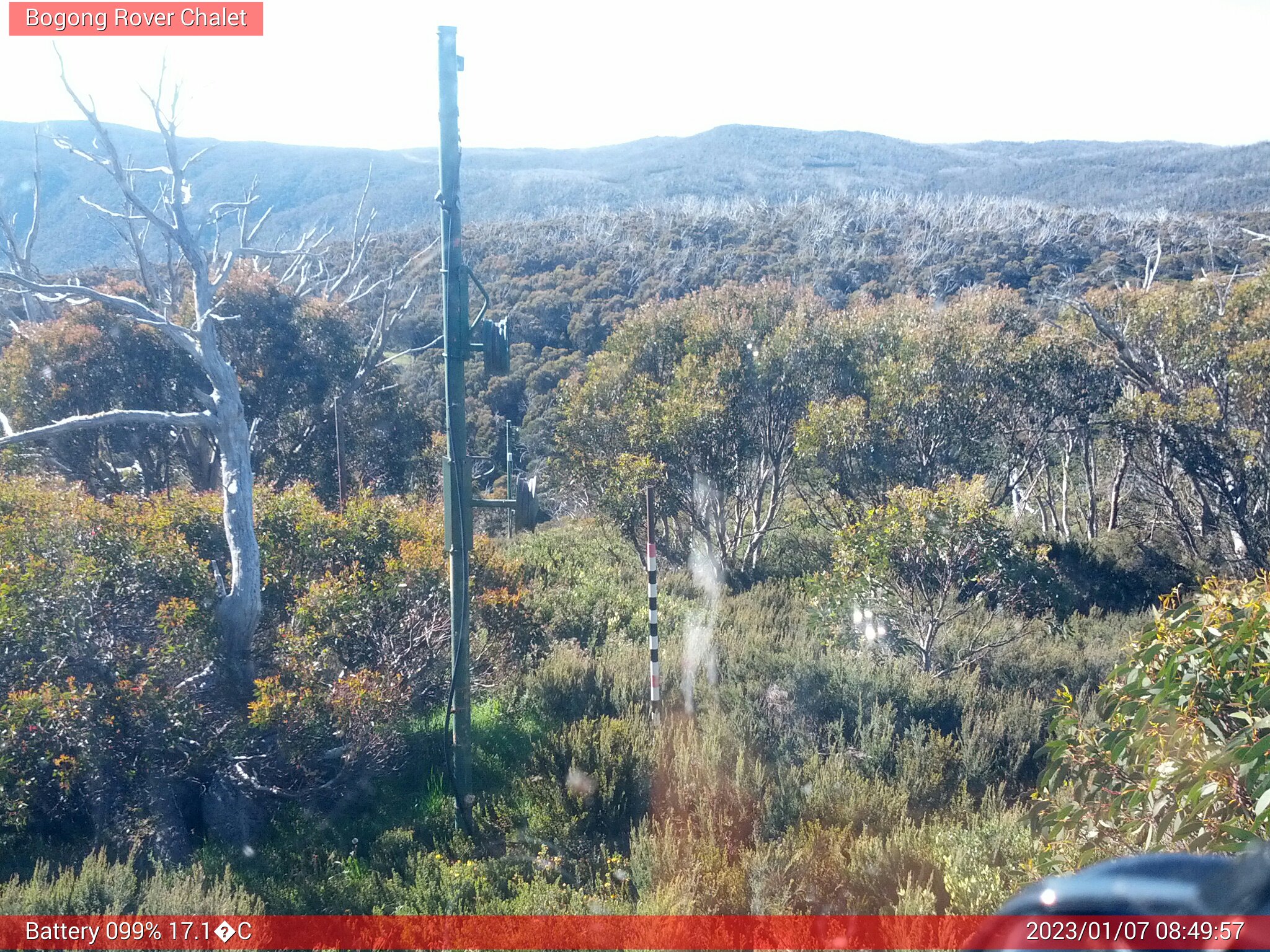 Bogong Web Cam 8:49am Saturday 7th of January 2023