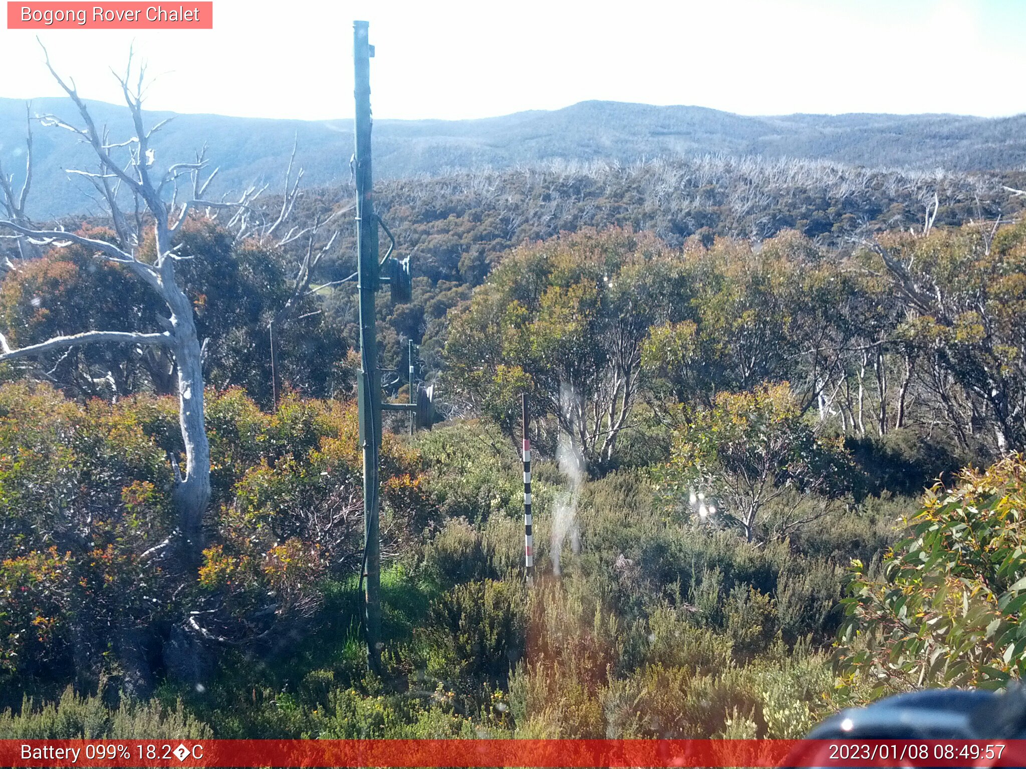 Bogong Web Cam 8:49am Sunday 8th of January 2023