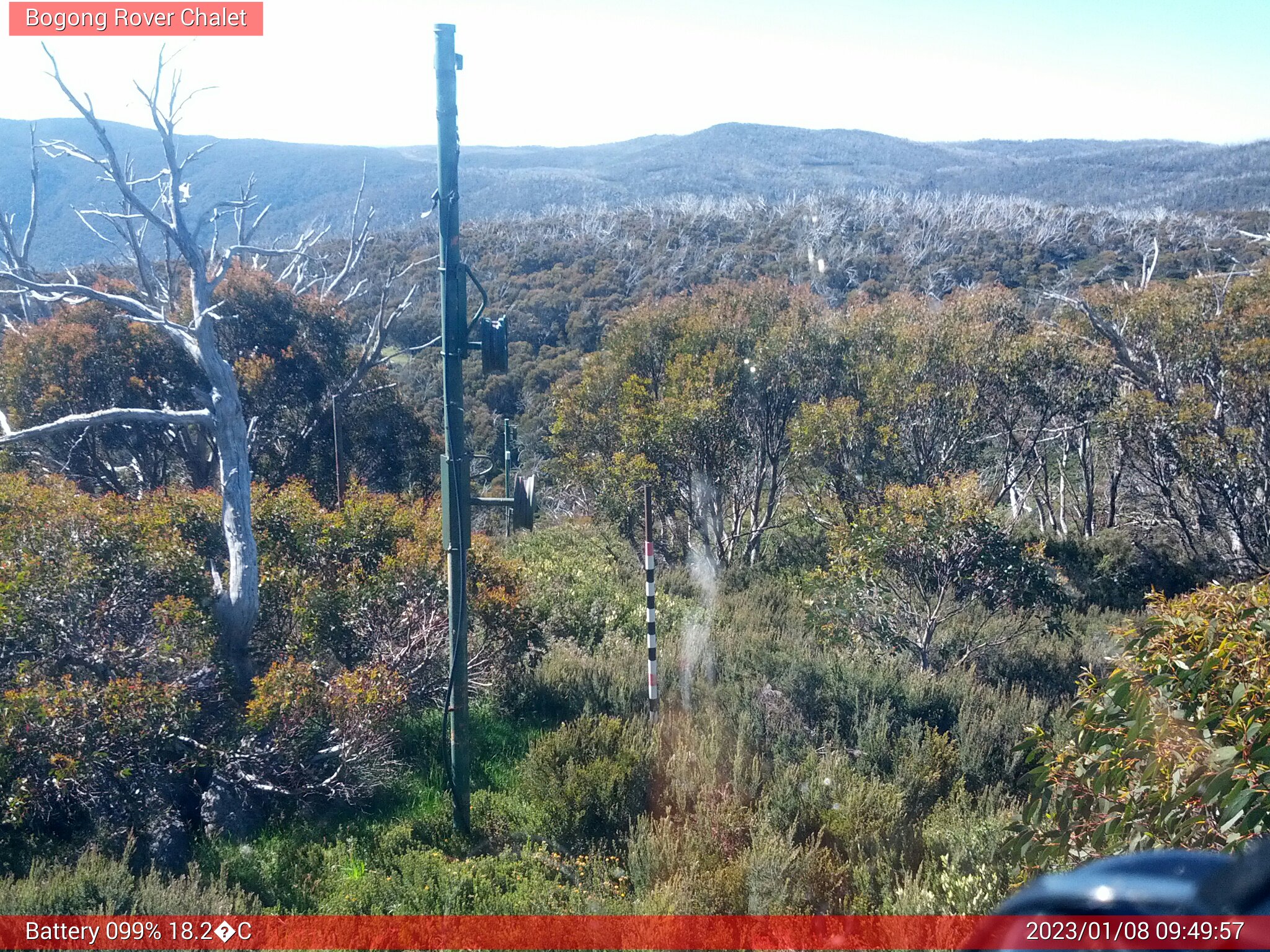 Bogong Web Cam 9:49am Sunday 8th of January 2023