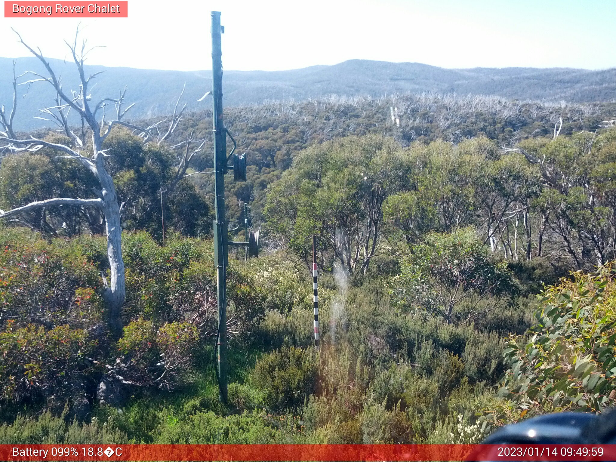 Bogong Web Cam 9:49am Saturday 14th of January 2023