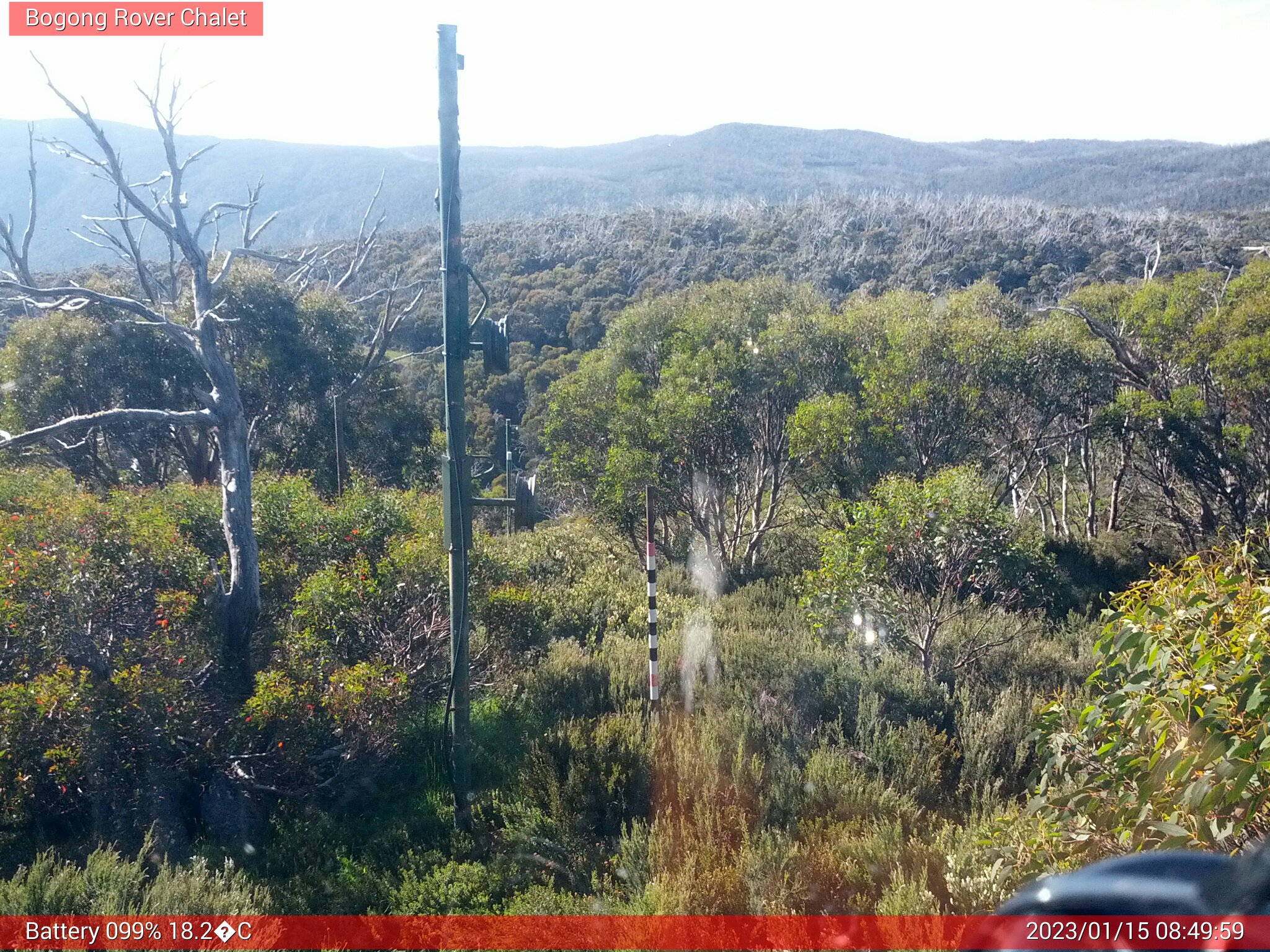 Bogong Web Cam 8:49am Sunday 15th of January 2023