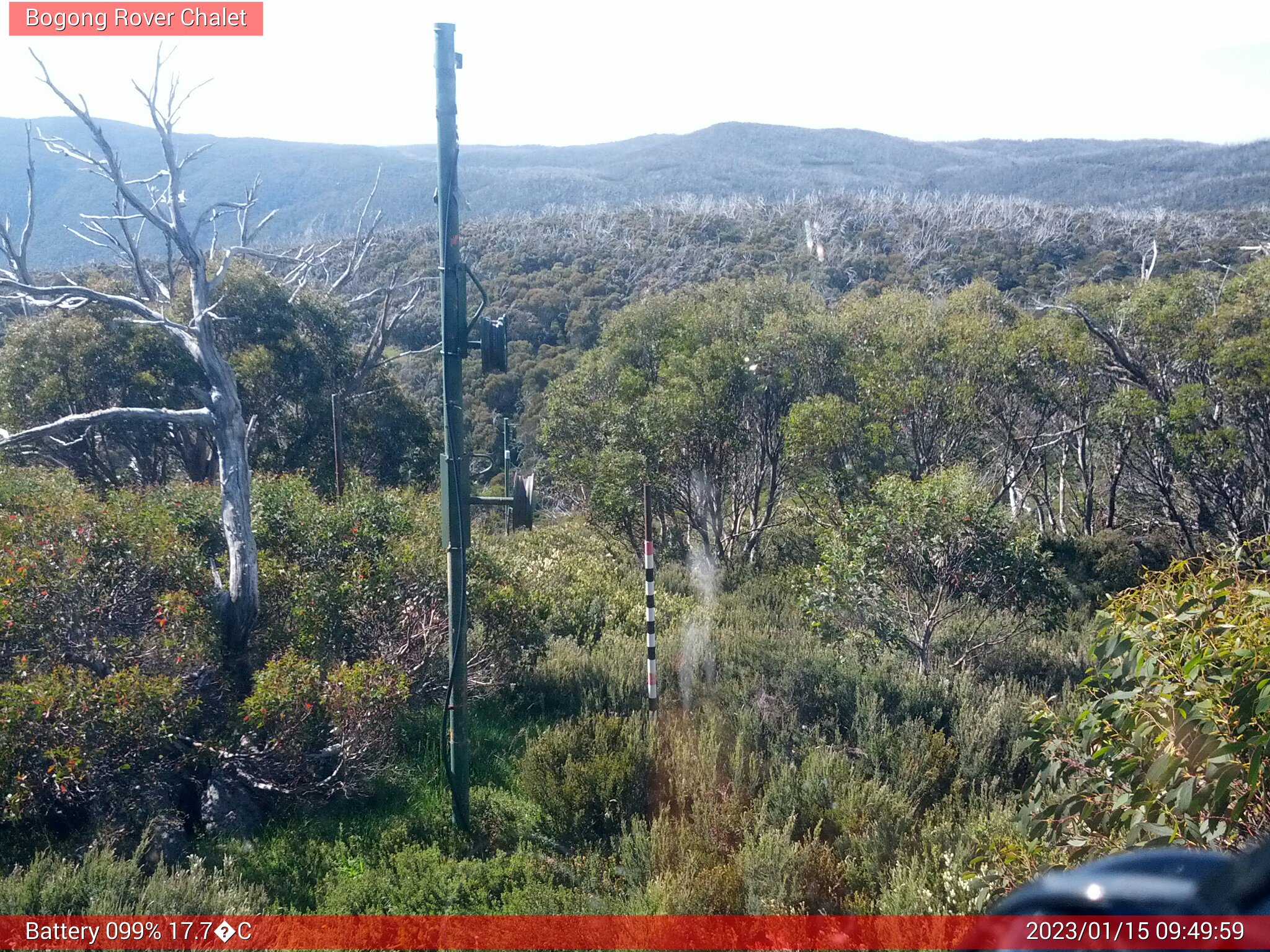 Bogong Web Cam 9:49am Sunday 15th of January 2023