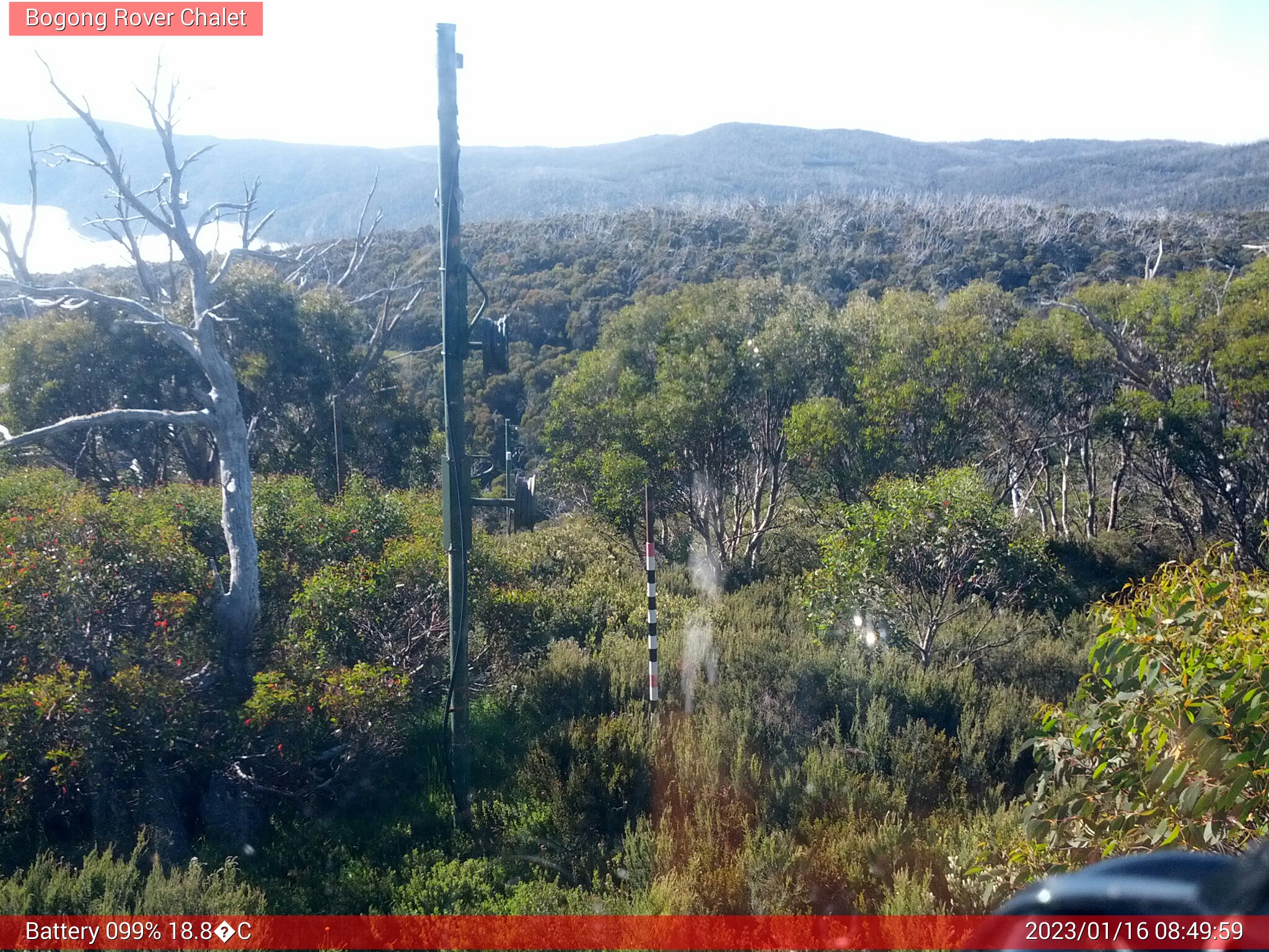 Bogong Web Cam 8:49am Monday 16th of January 2023