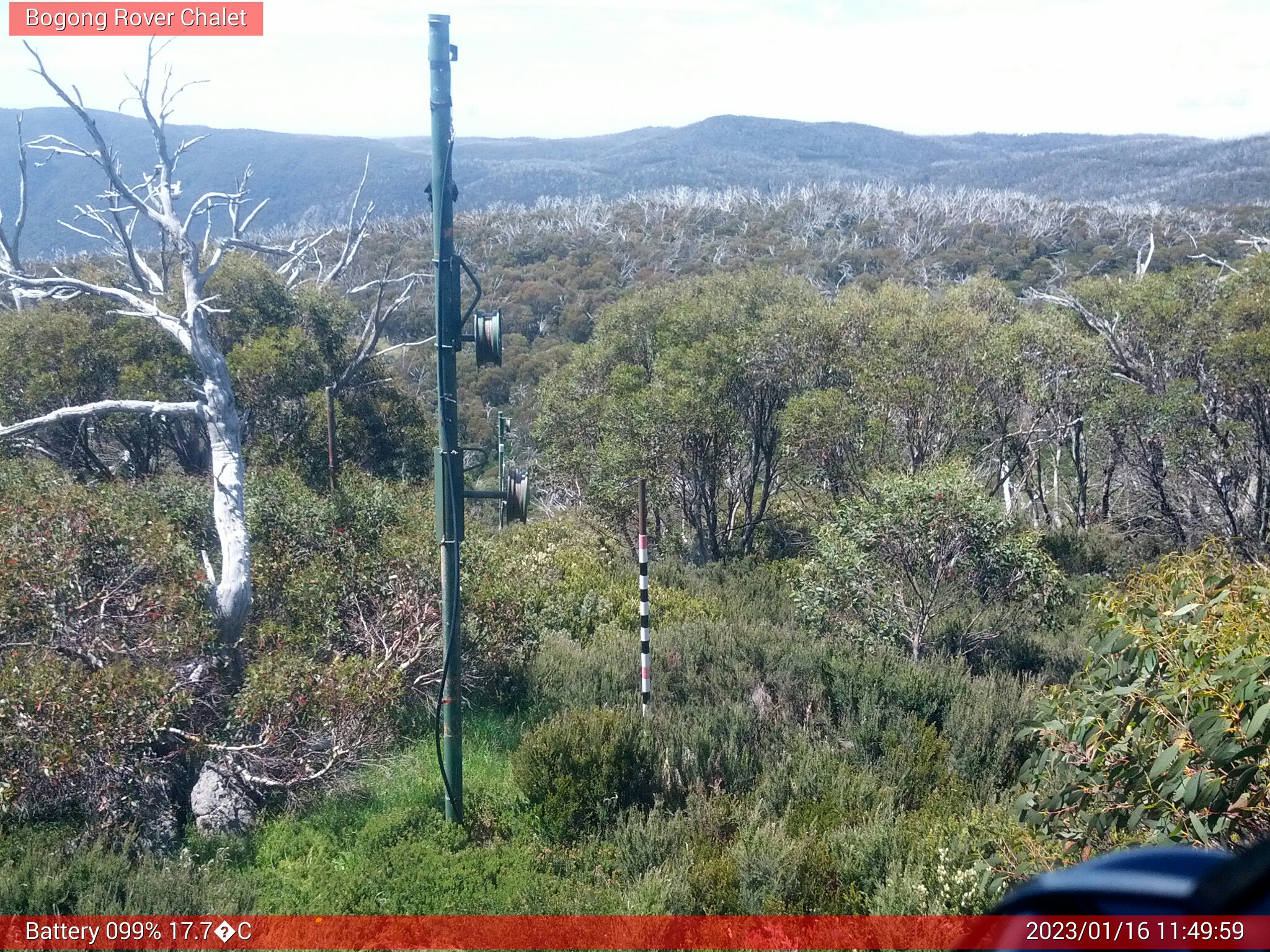 Bogong Web Cam 11:49am Monday 16th of January 2023