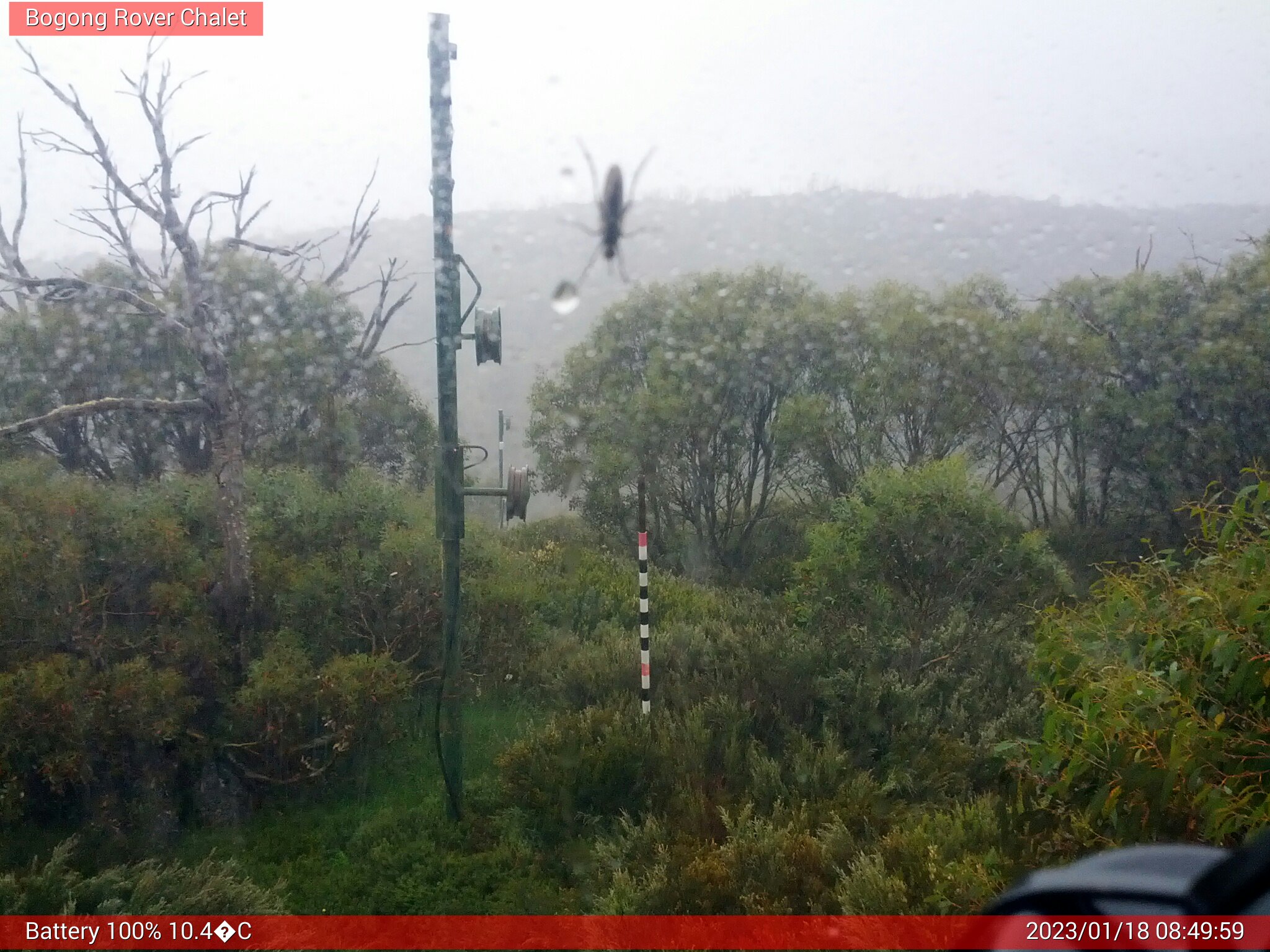 Bogong Web Cam 8:49am Wednesday 18th of January 2023