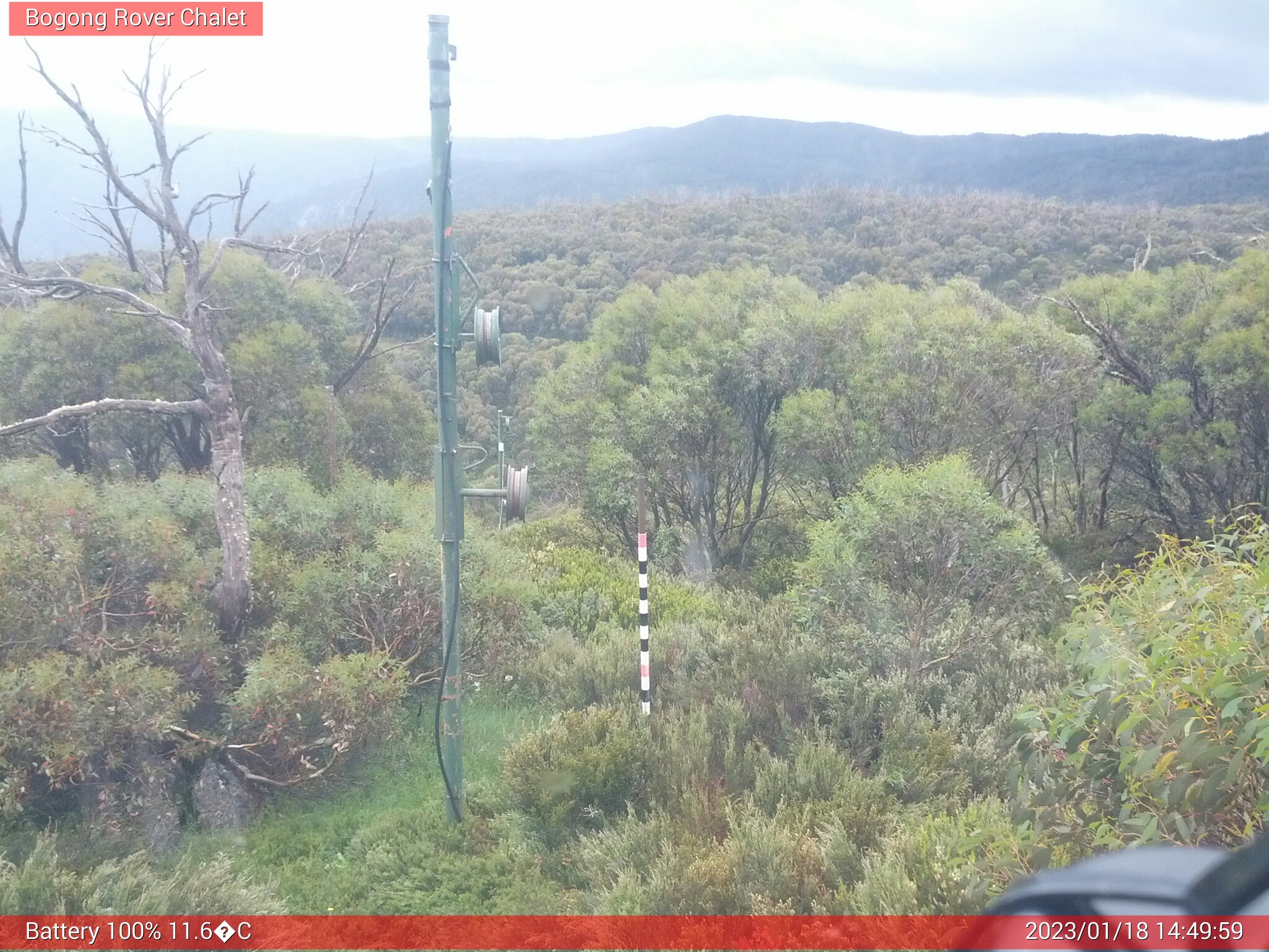 Bogong Web Cam 2:49pm Wednesday 18th of January 2023