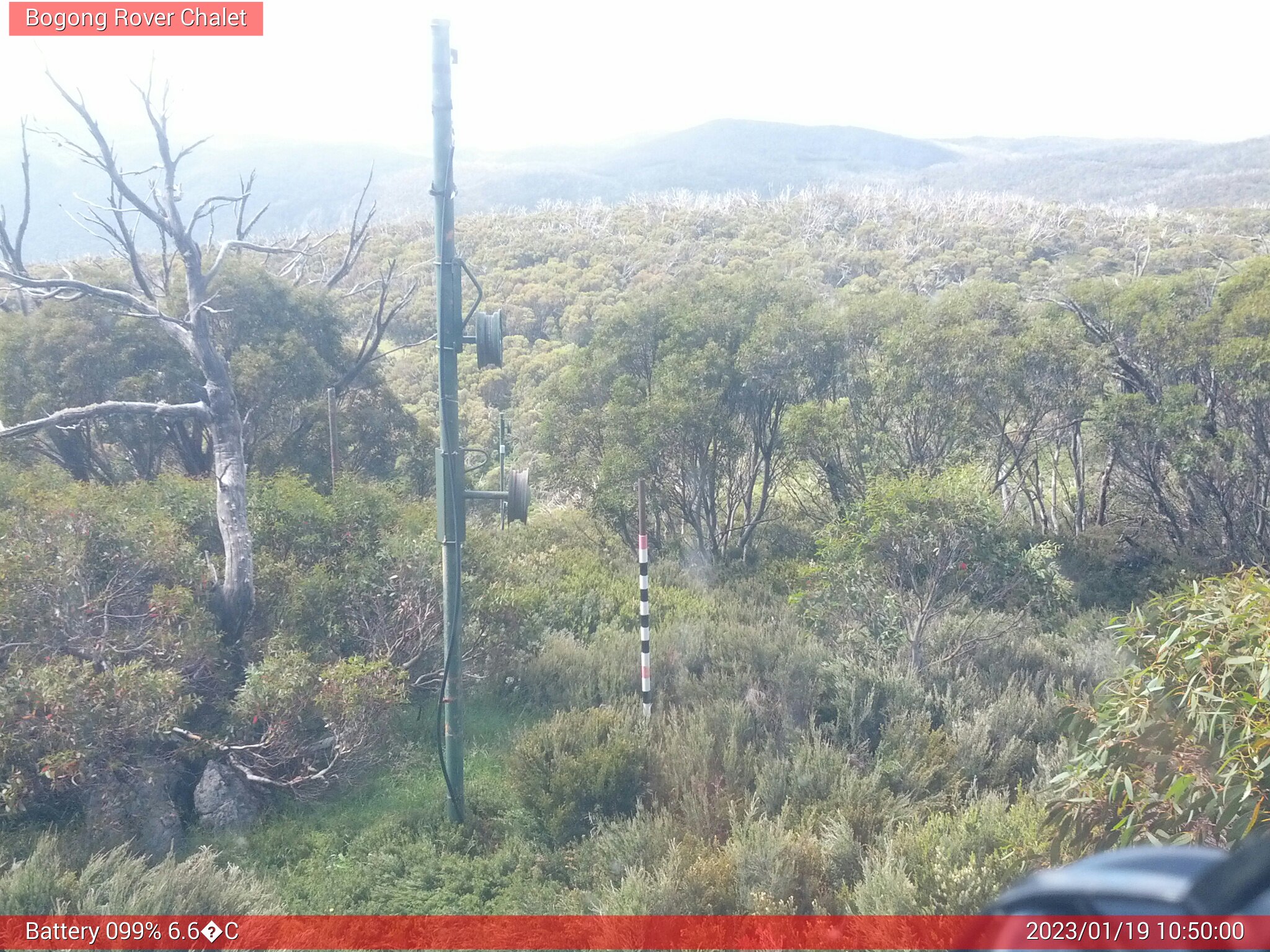 Bogong Web Cam 10:49am Thursday 19th of January 2023