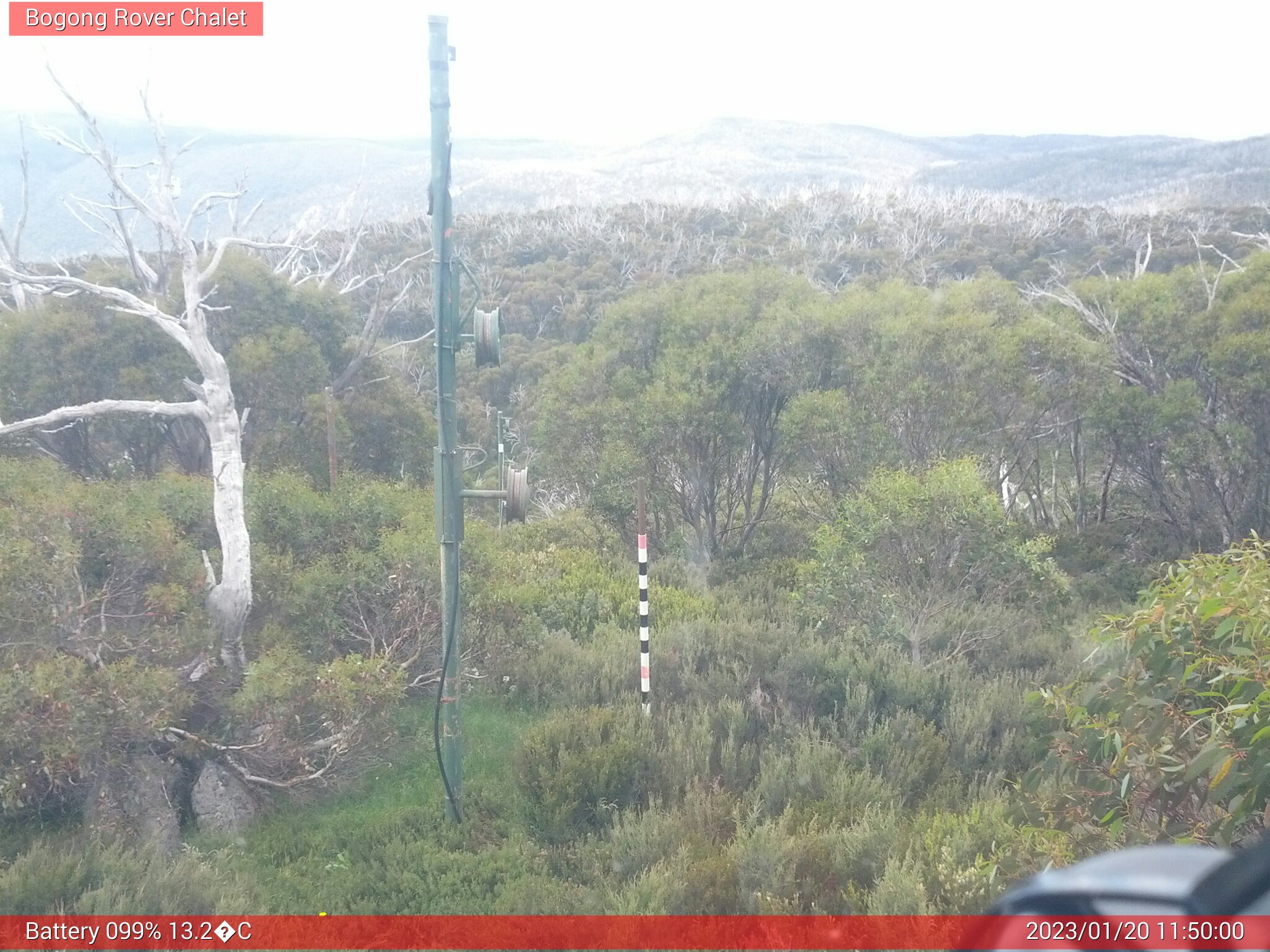 Bogong Web Cam 11:49am Friday 20th of January 2023