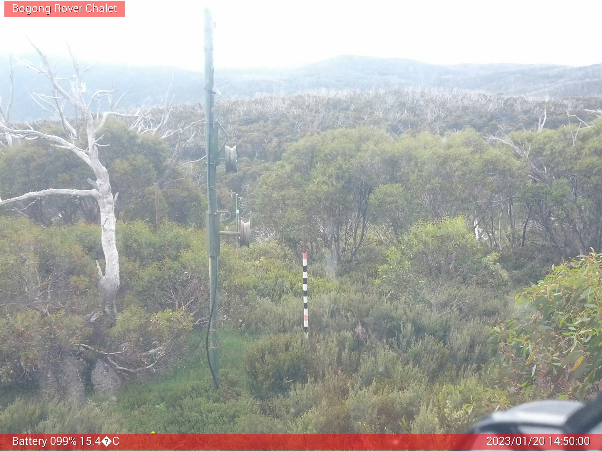 Bogong Web Cam 2:49pm Friday 20th of January 2023