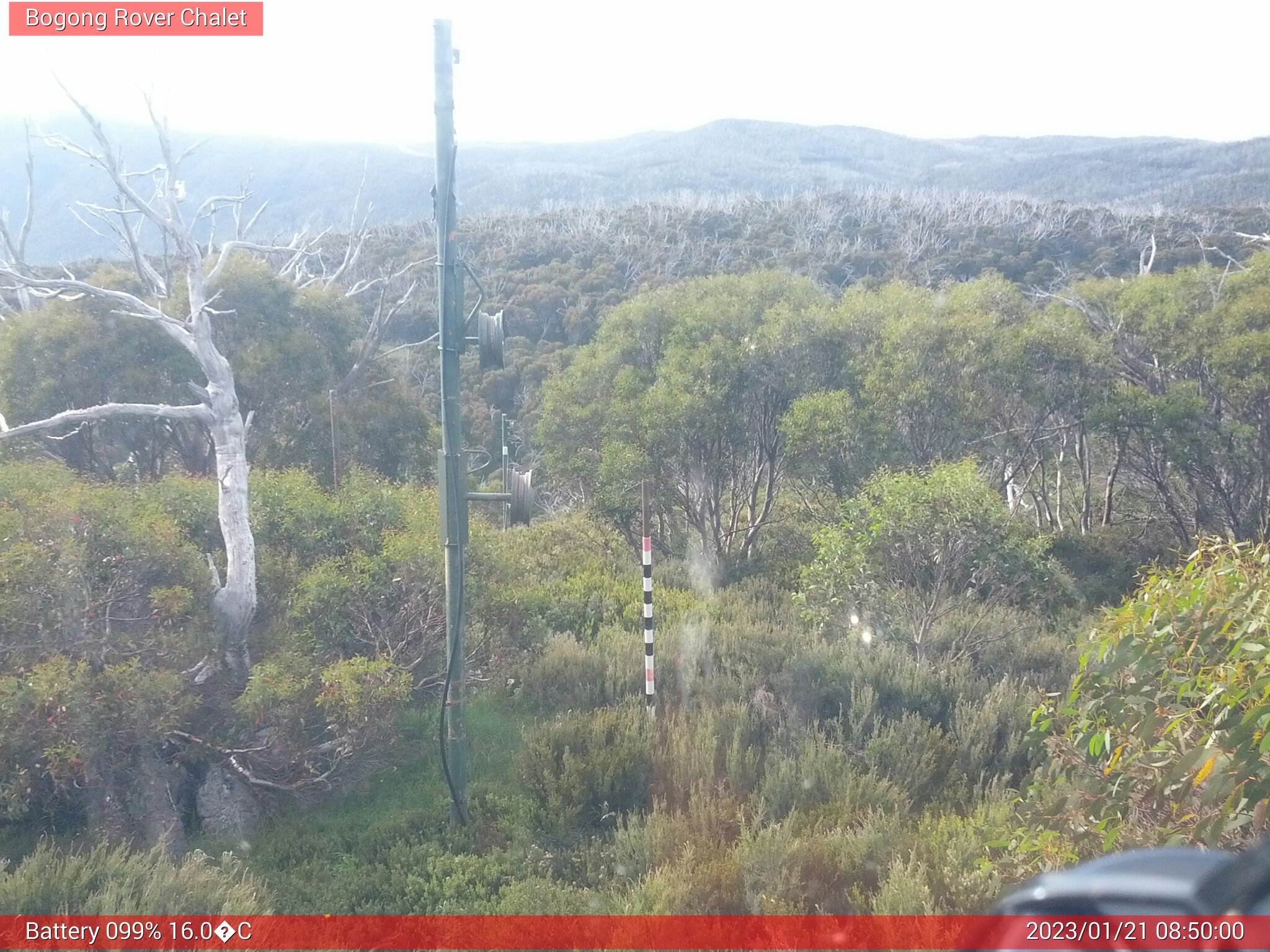 Bogong Web Cam 8:50am Saturday 21st of January 2023