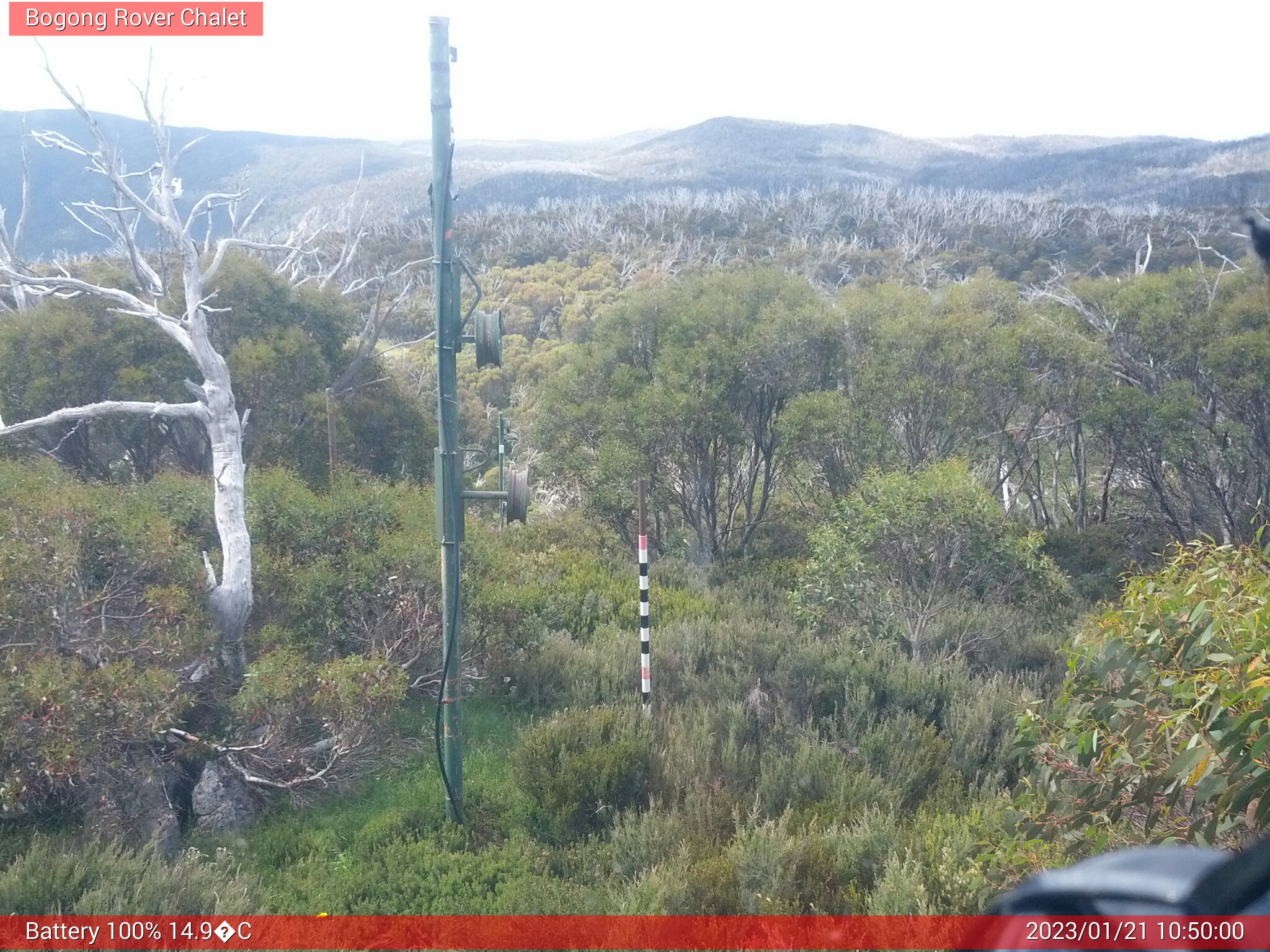 Bogong Web Cam 10:49am Saturday 21st of January 2023