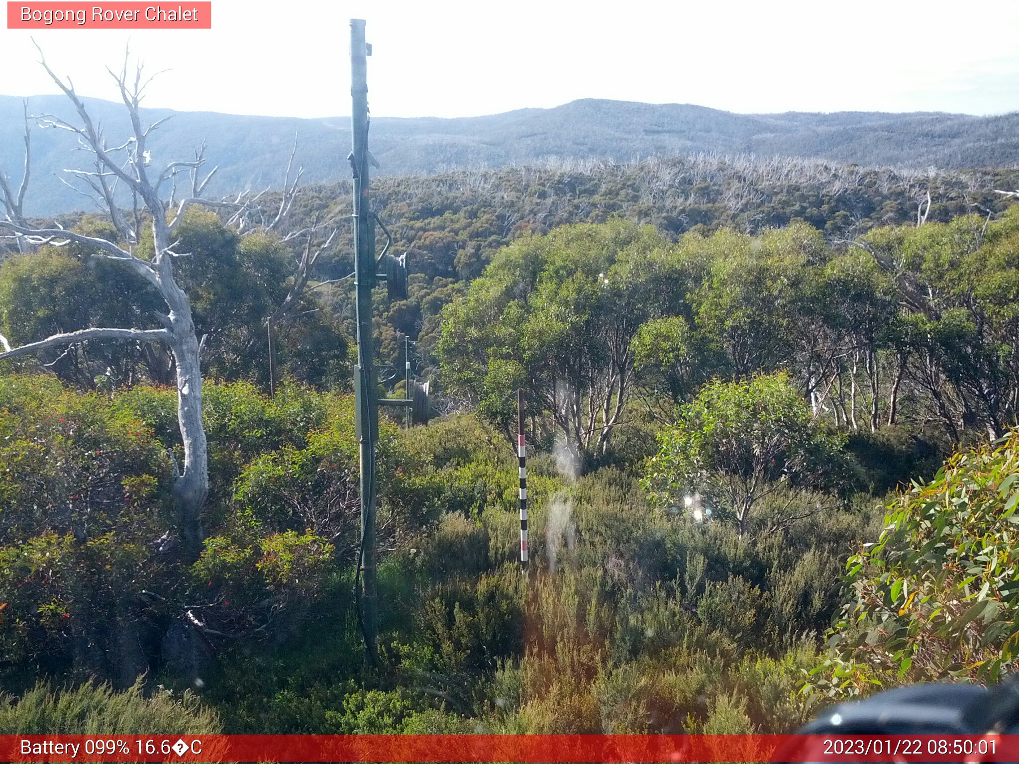 Bogong Web Cam 8:50am Sunday 22nd of January 2023