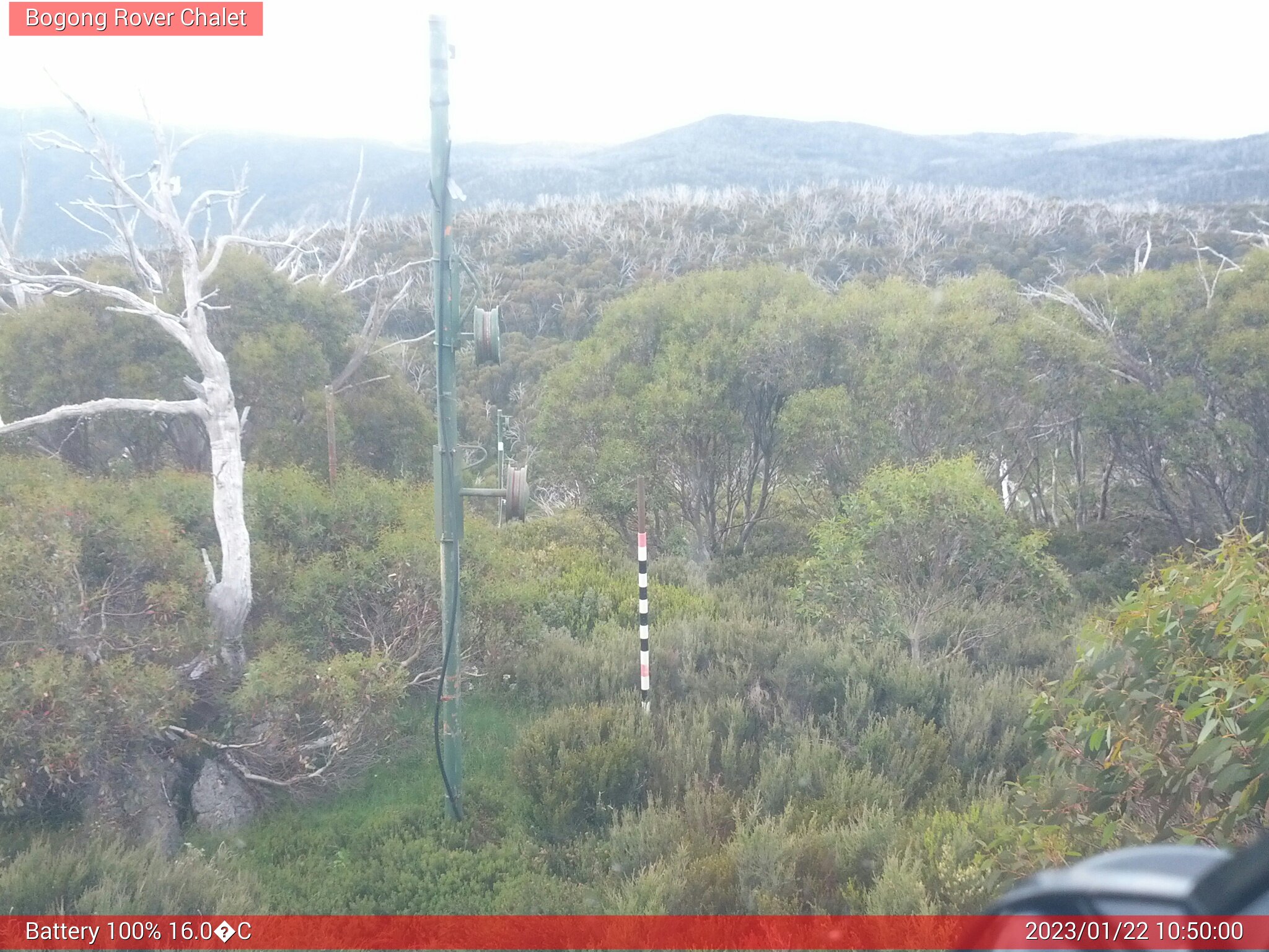 Bogong Web Cam 10:50am Sunday 22nd of January 2023