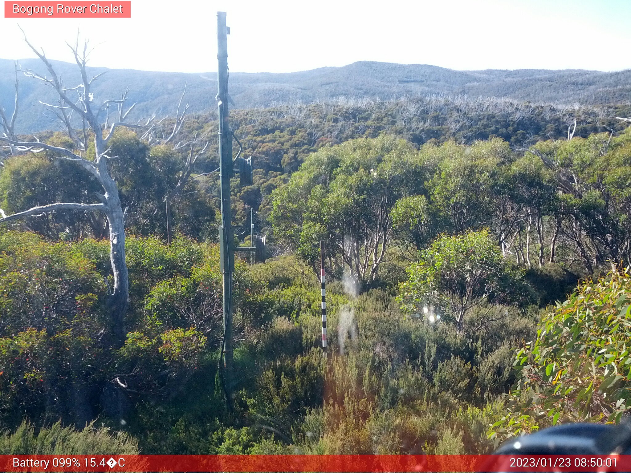 Bogong Web Cam 8:50am Monday 23rd of January 2023