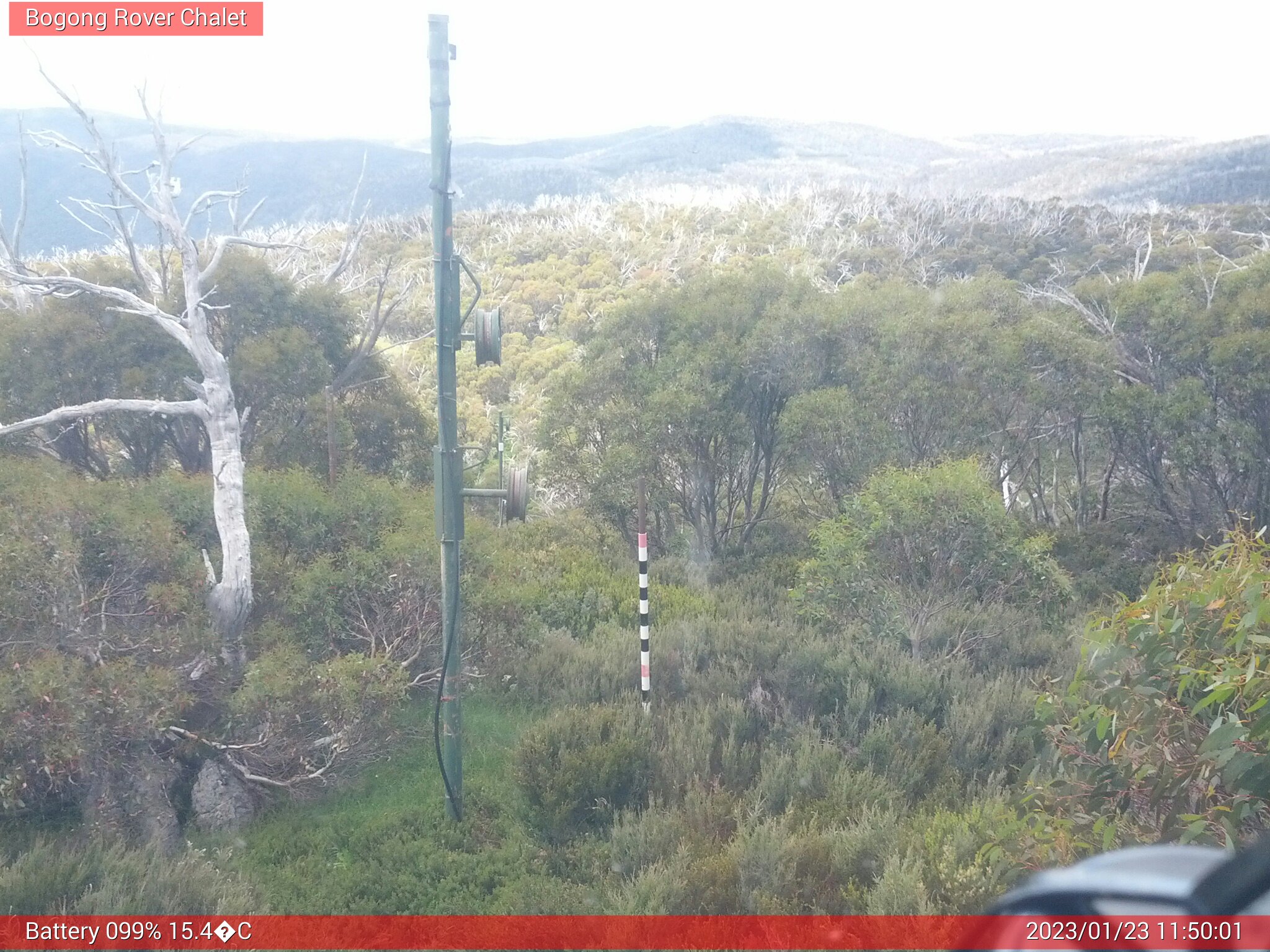 Bogong Web Cam 11:50am Monday 23rd of January 2023