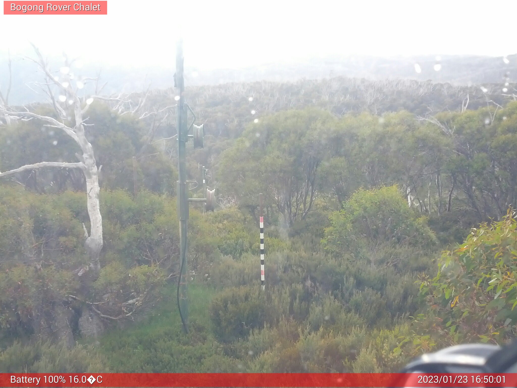 Bogong Web Cam 4:50pm Monday 23rd of January 2023