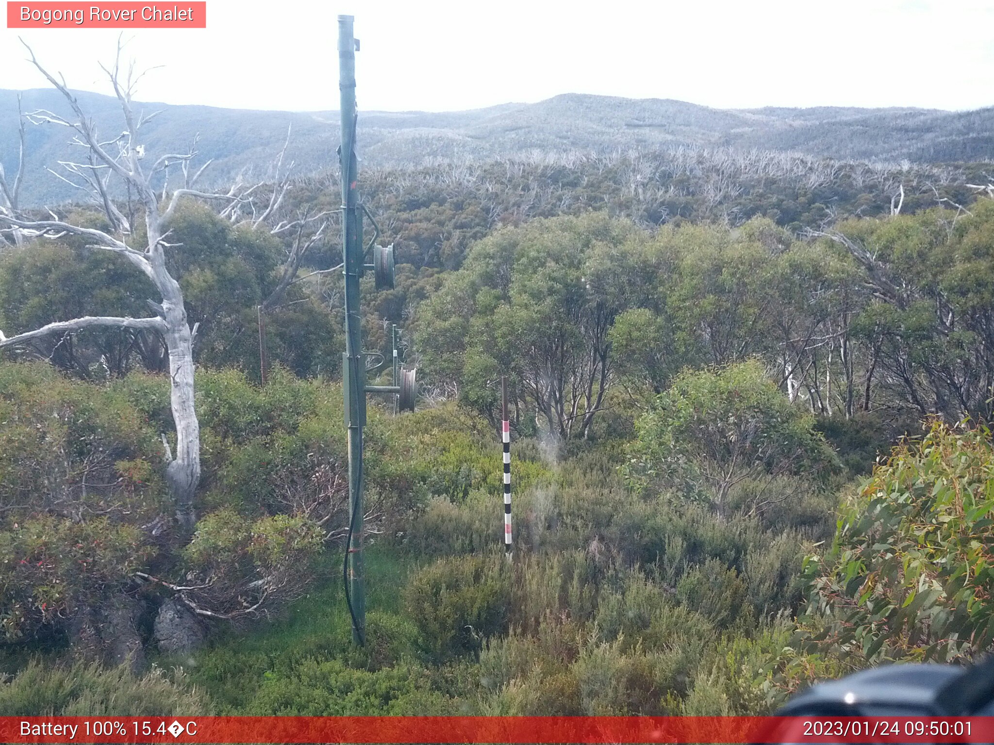 Bogong Web Cam 9:50am Tuesday 24th of January 2023