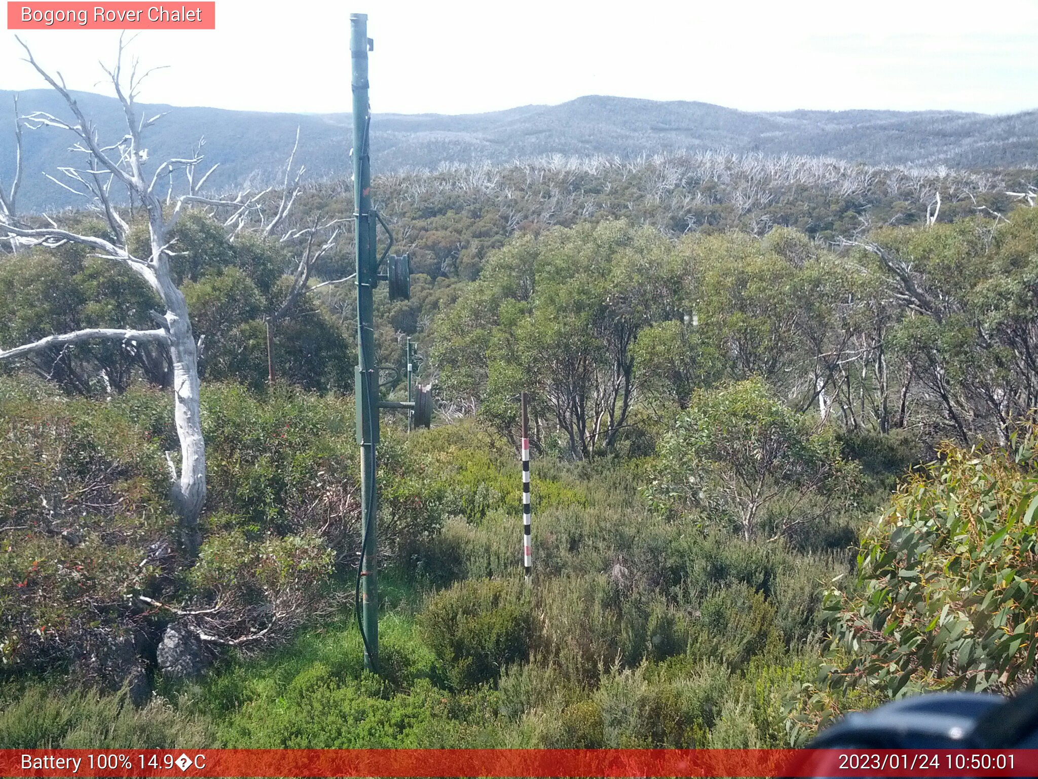 Bogong Web Cam 10:50am Tuesday 24th of January 2023