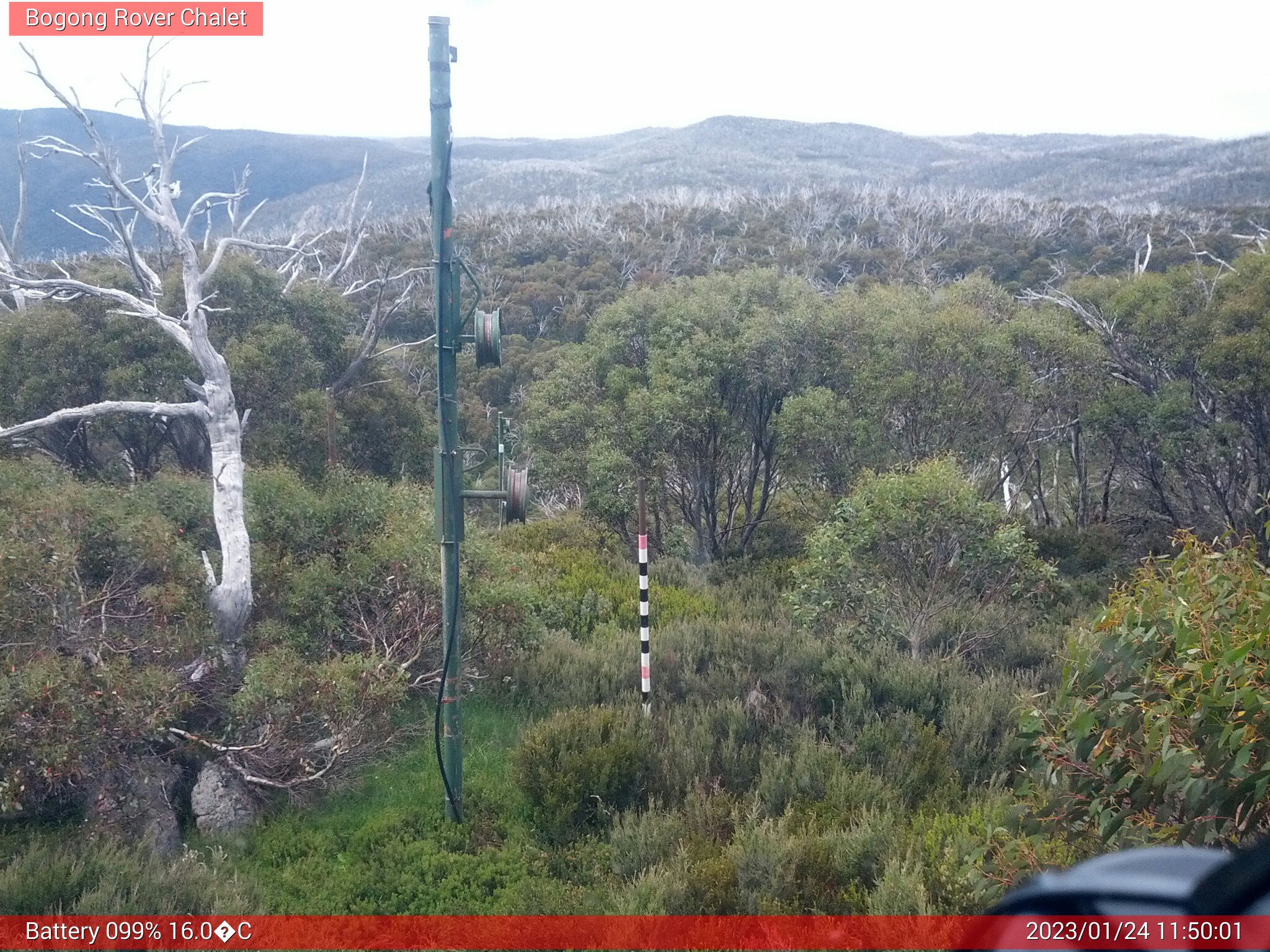 Bogong Web Cam 11:50am Tuesday 24th of January 2023