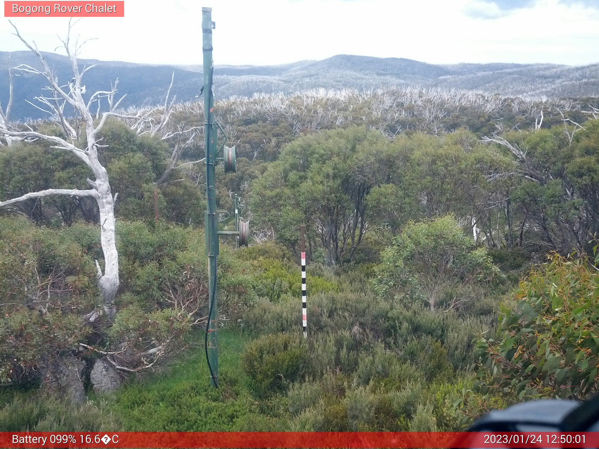 Bogong Web Cam 12:50pm Tuesday 24th of January 2023