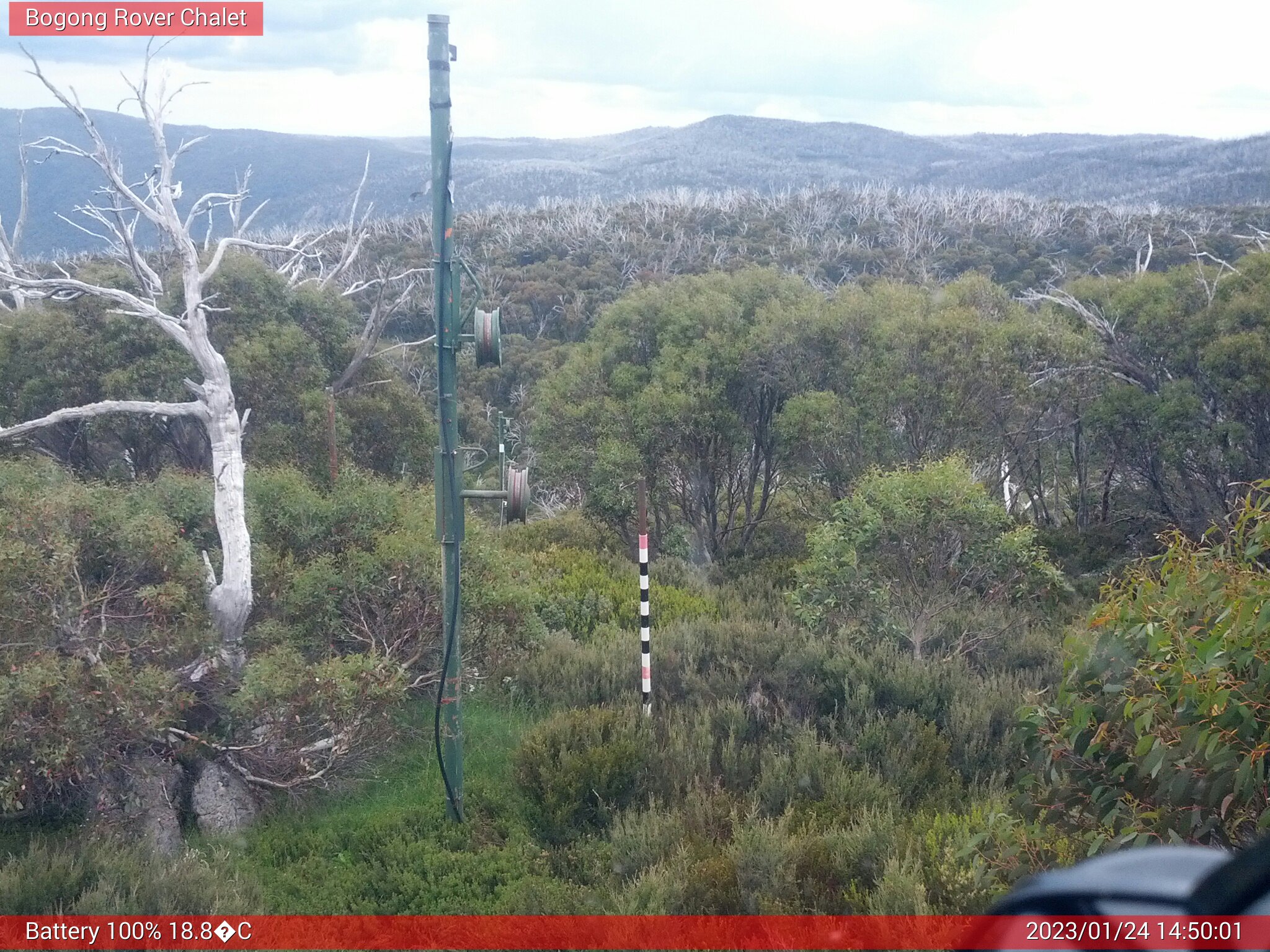 Bogong Web Cam 2:50pm Tuesday 24th of January 2023