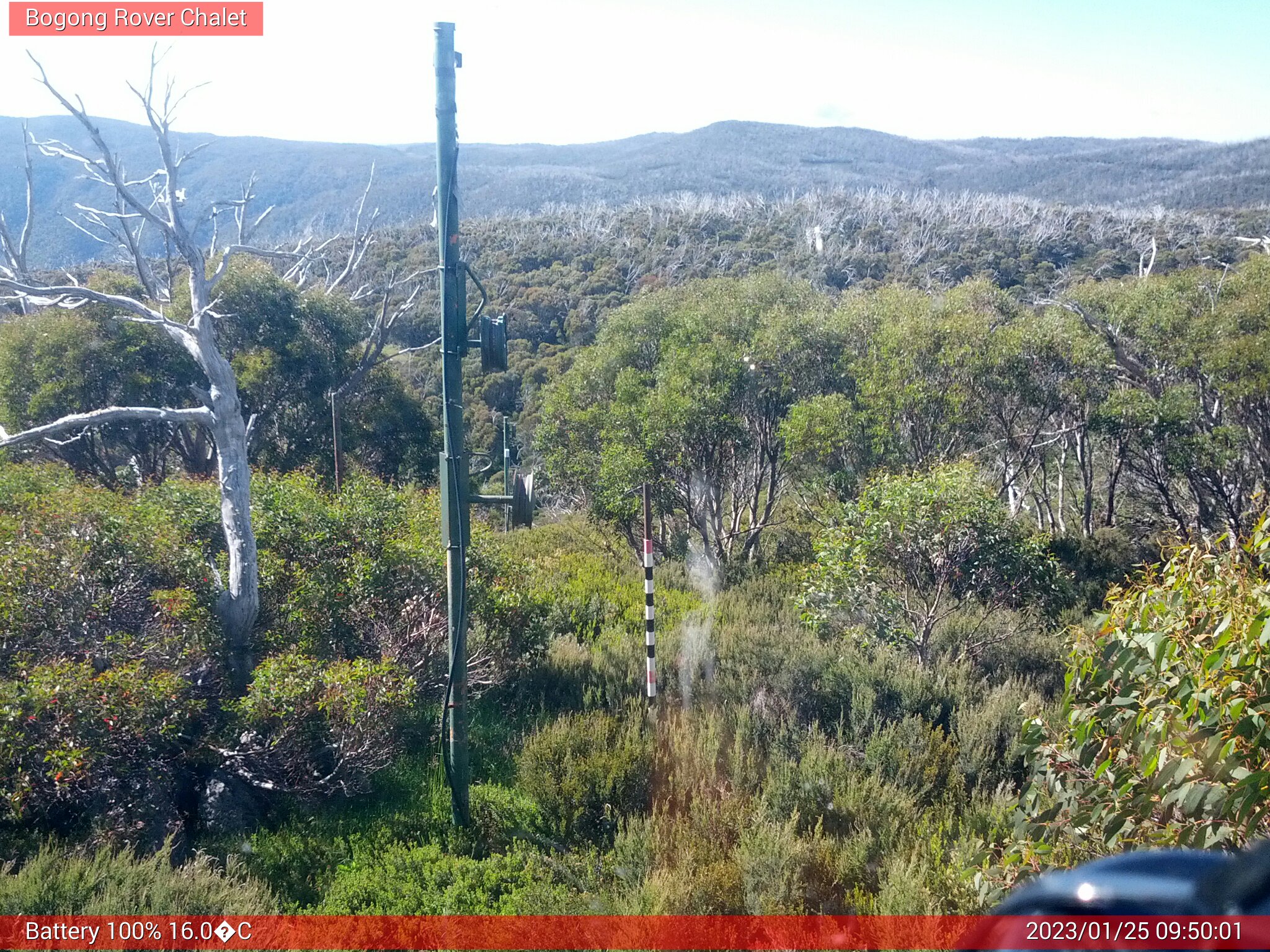 Bogong Web Cam 9:50am Wednesday 25th of January 2023