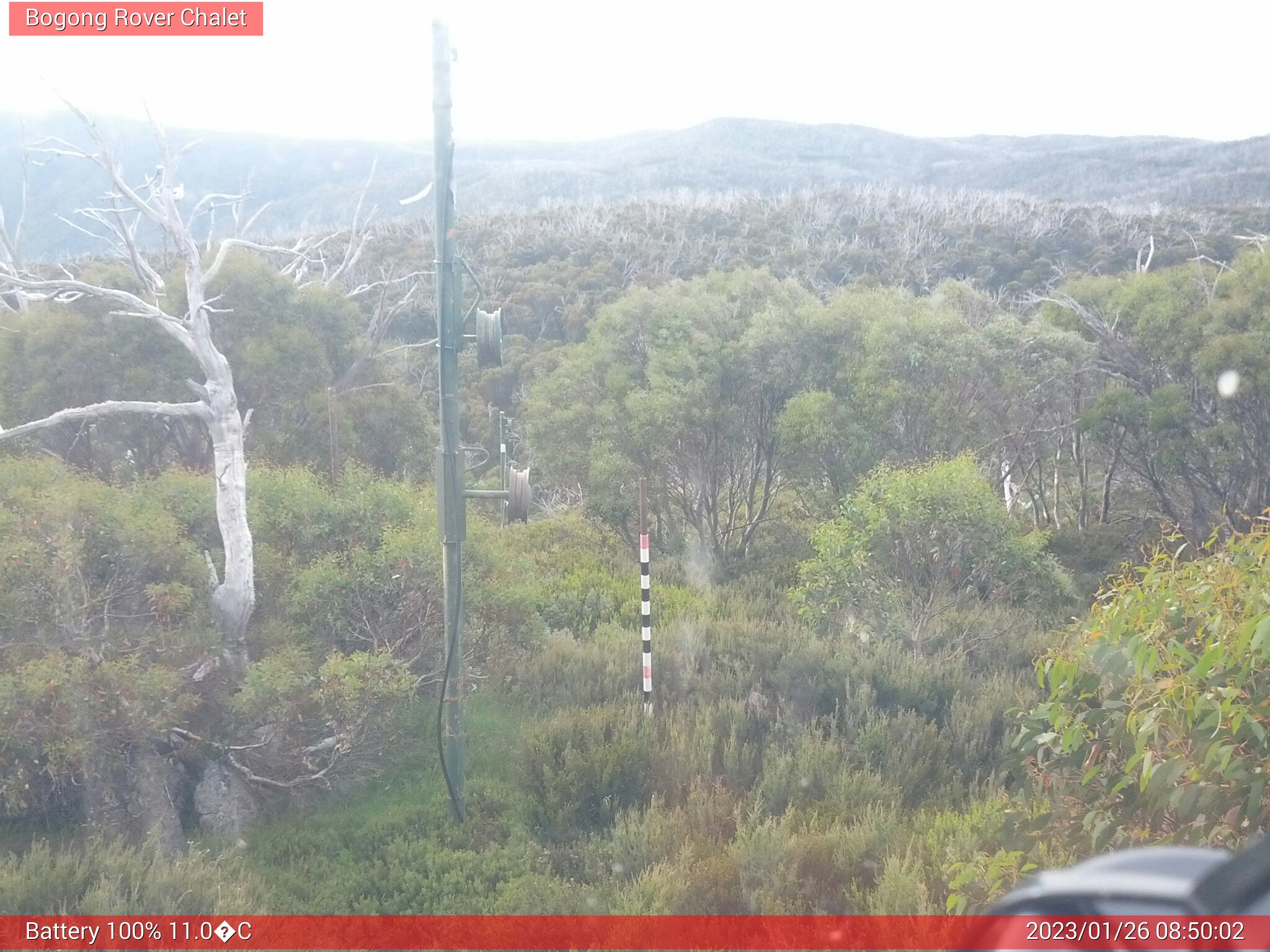 Bogong Web Cam 8:50am Thursday 26th of January 2023