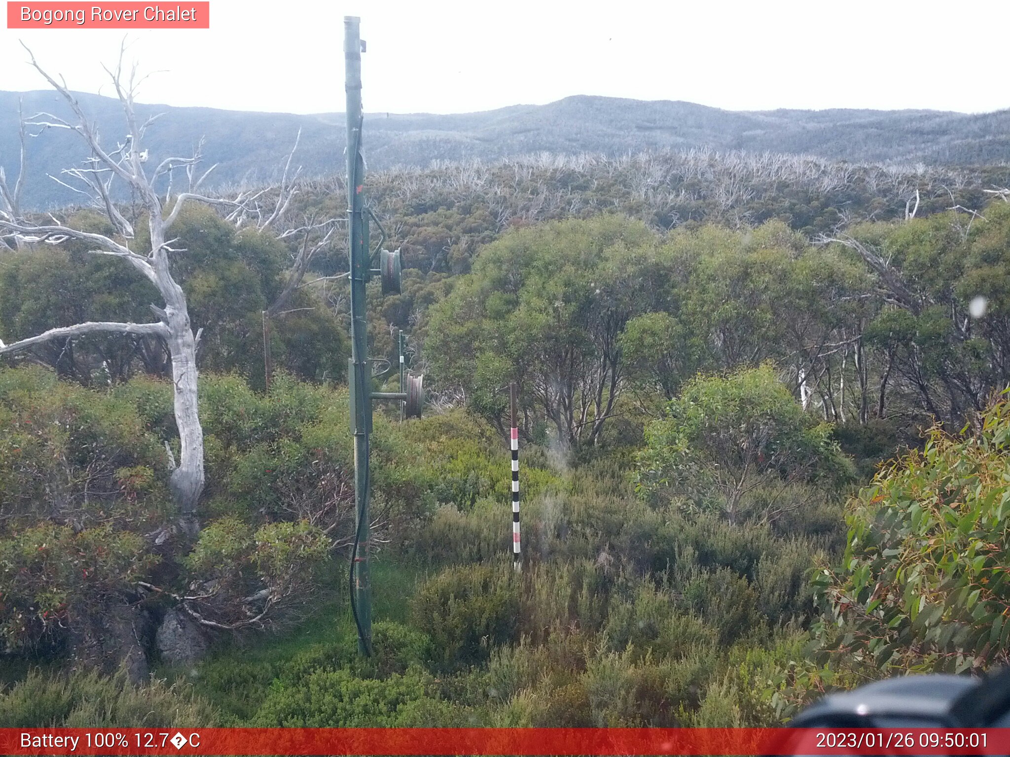 Bogong Web Cam 9:50am Thursday 26th of January 2023