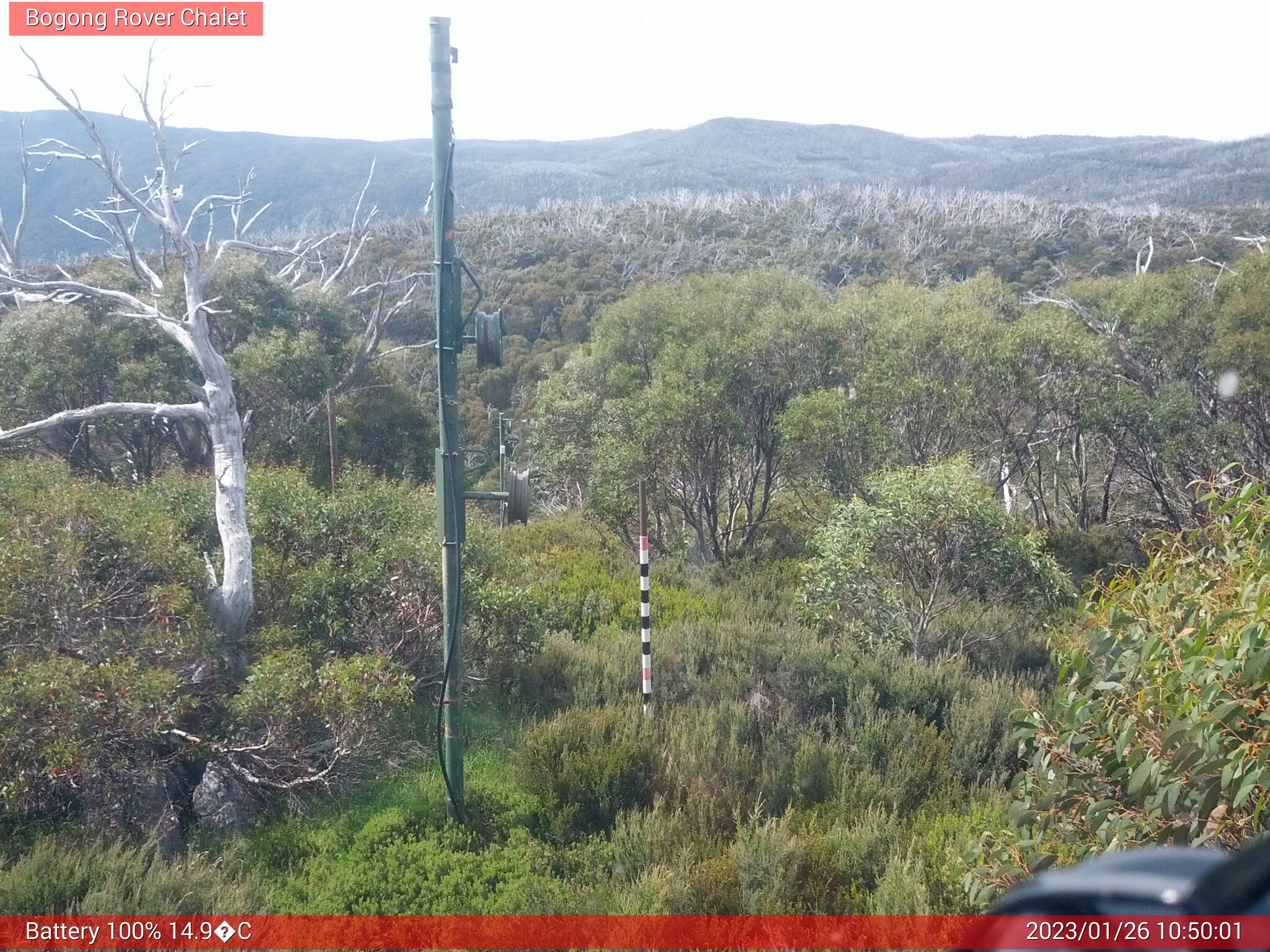 Bogong Web Cam 10:50am Thursday 26th of January 2023