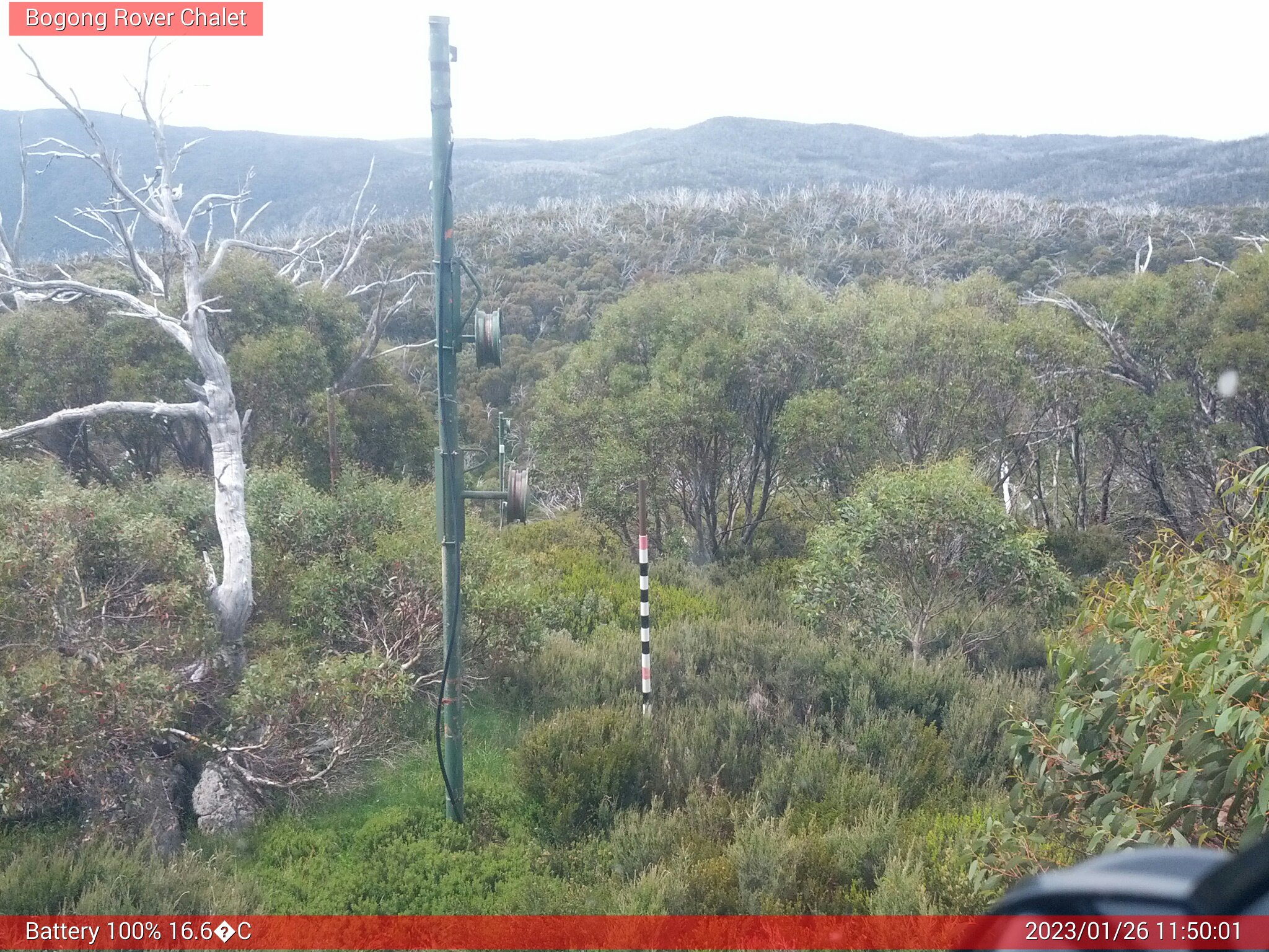 Bogong Web Cam 11:50am Thursday 26th of January 2023