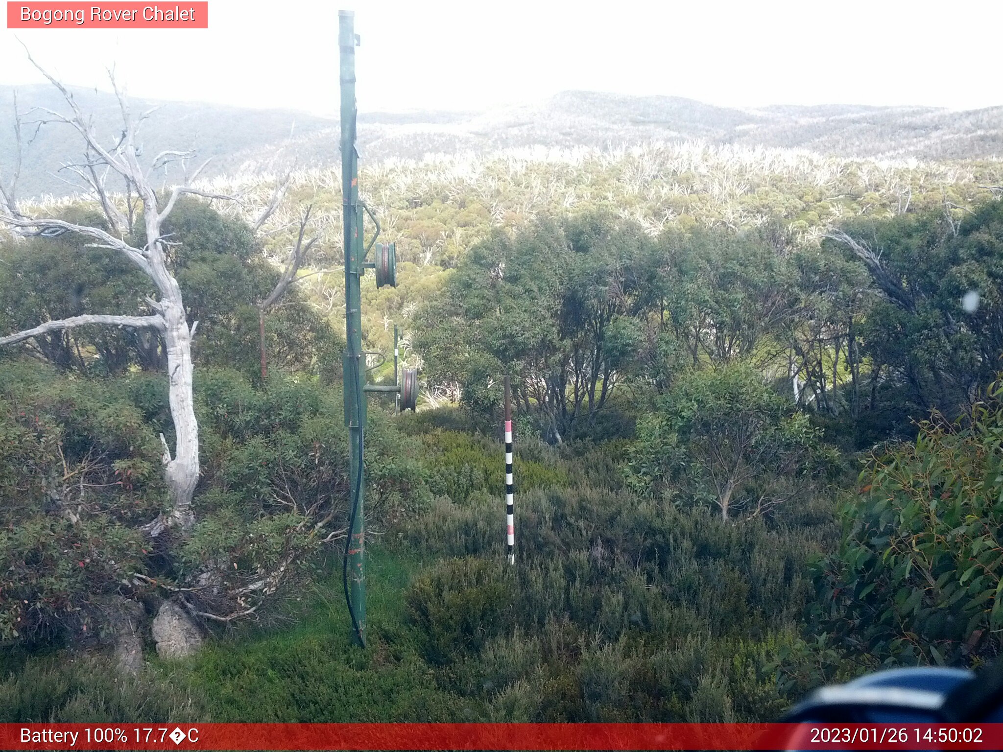 Bogong Web Cam 2:50pm Thursday 26th of January 2023