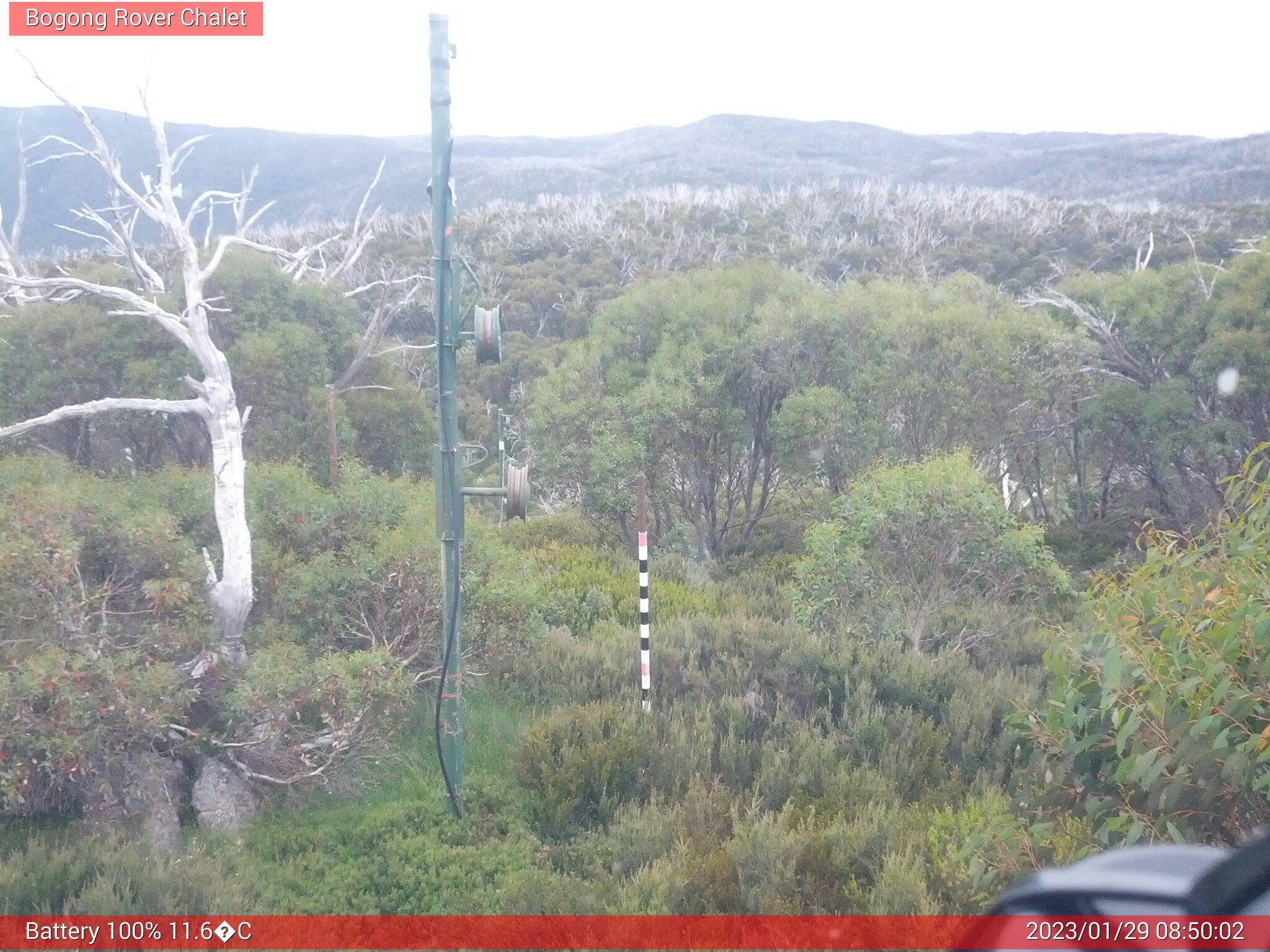 Bogong Web Cam 8:50am Sunday 29th of January 2023