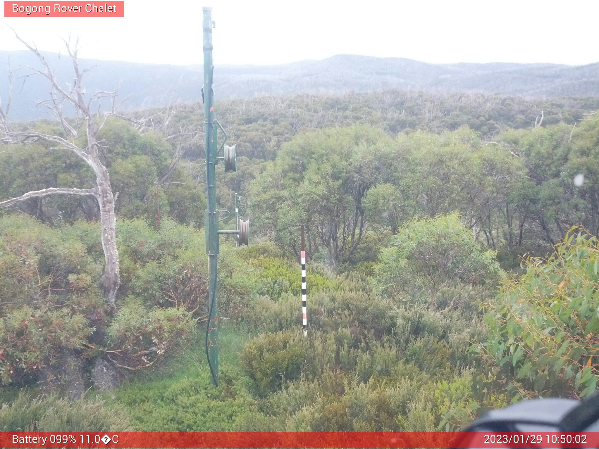 Bogong Web Cam 10:50am Sunday 29th of January 2023