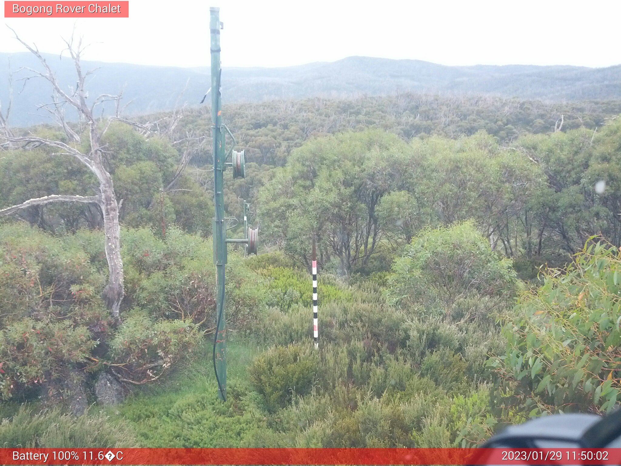 Bogong Web Cam 11:50am Sunday 29th of January 2023