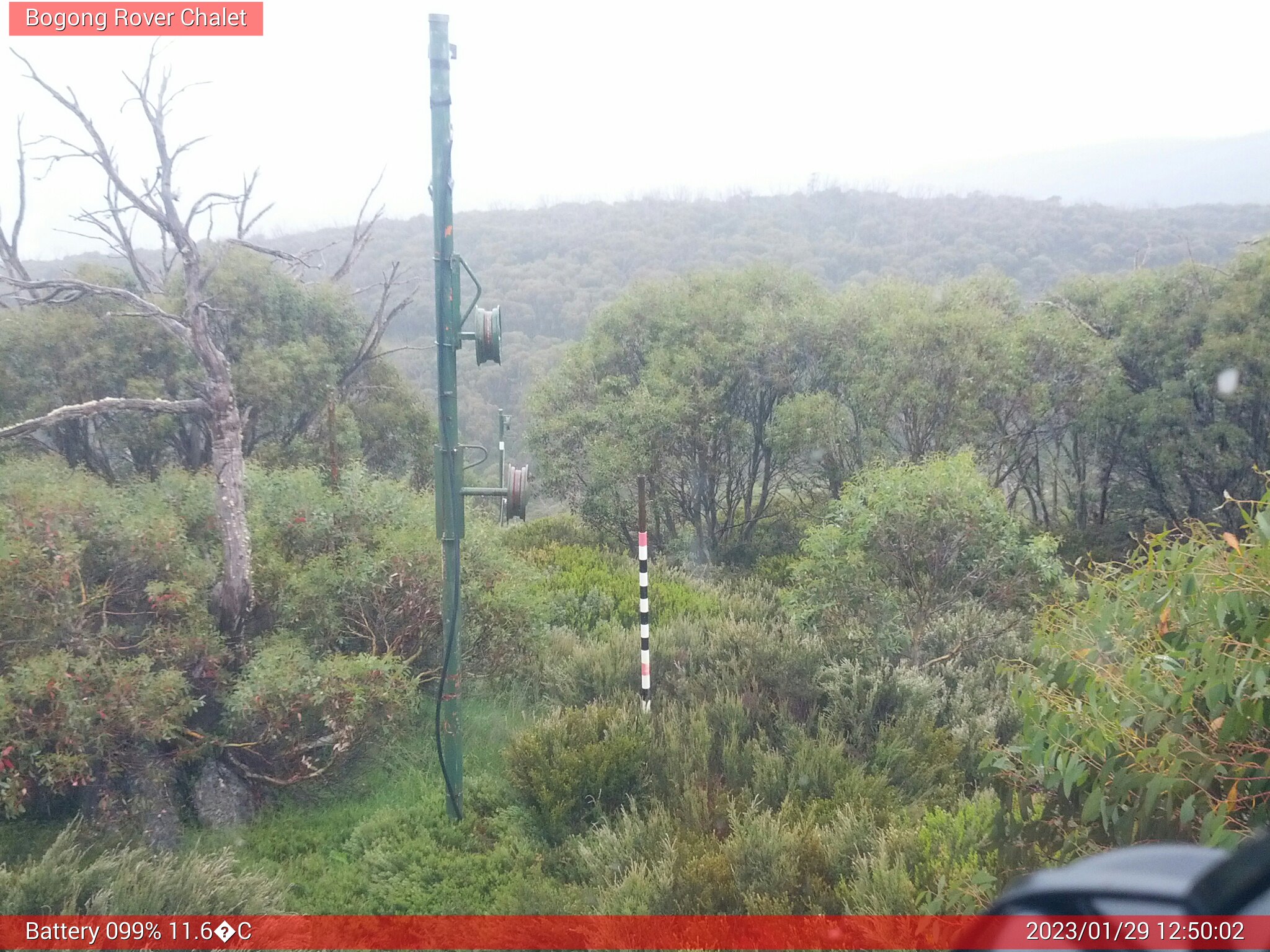 Bogong Web Cam 12:50pm Sunday 29th of January 2023