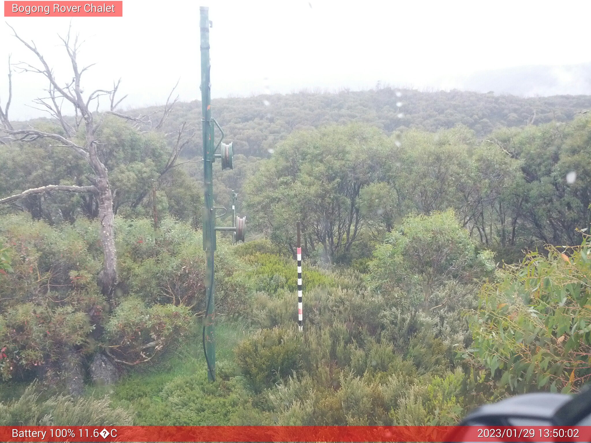 Bogong Web Cam 1:50pm Sunday 29th of January 2023