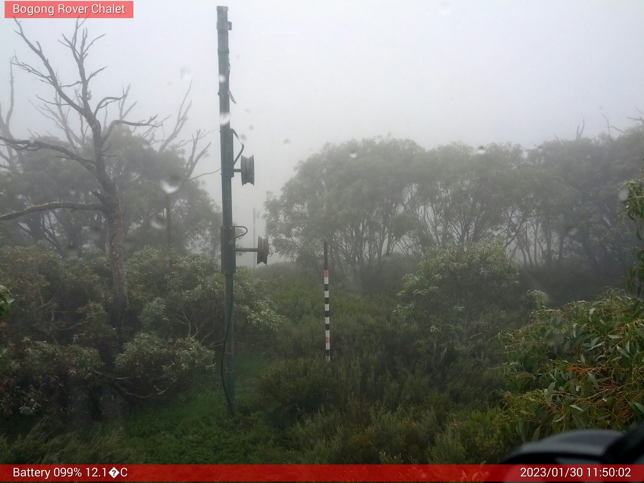 Bogong Web Cam 11:50am Monday 30th of January 2023