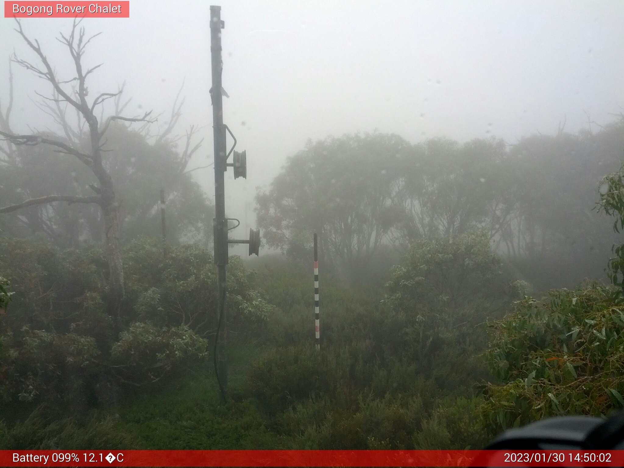 Bogong Web Cam 2:50pm Monday 30th of January 2023